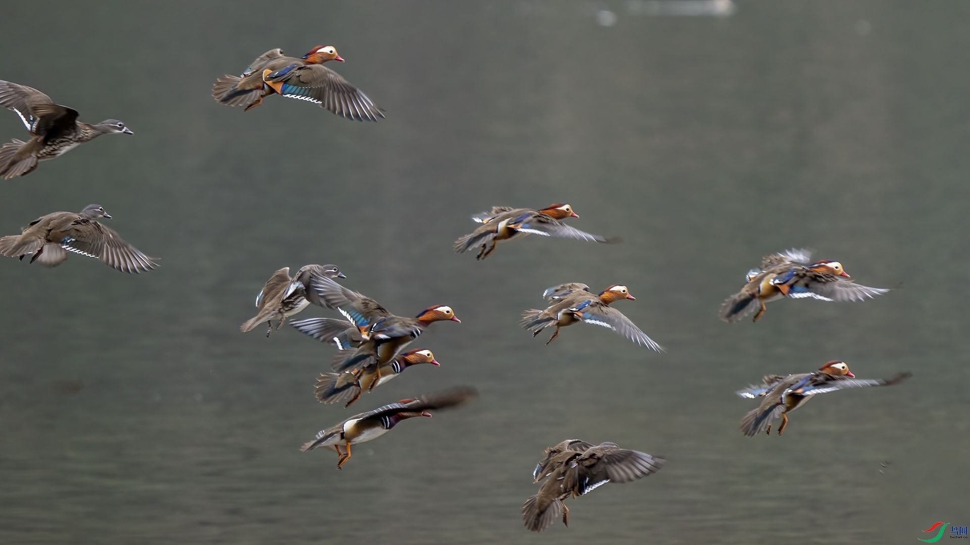 DSC04994 ����.jpg