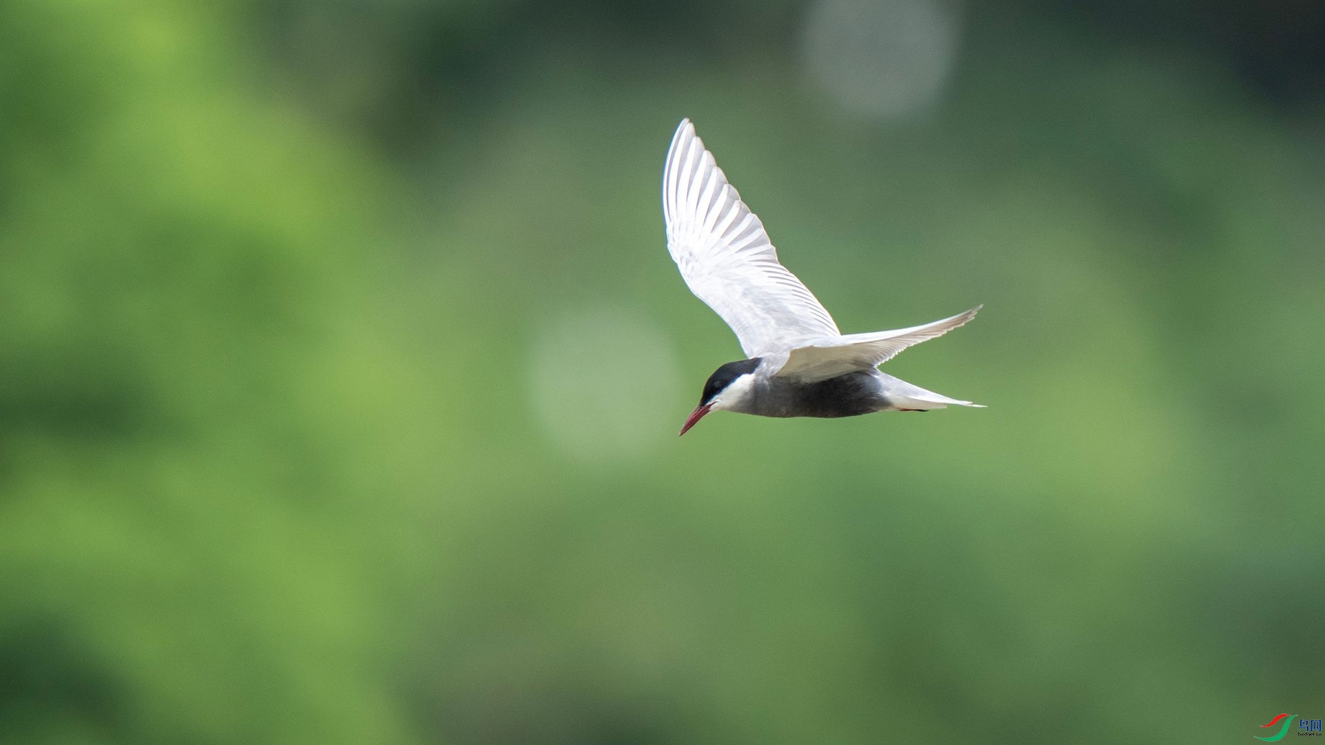 DSC07591 ����.jpg