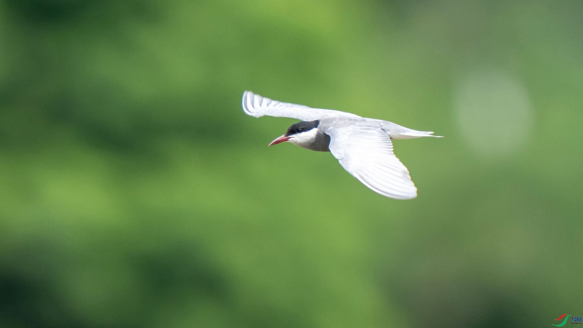 DSC07592 ����.jpg