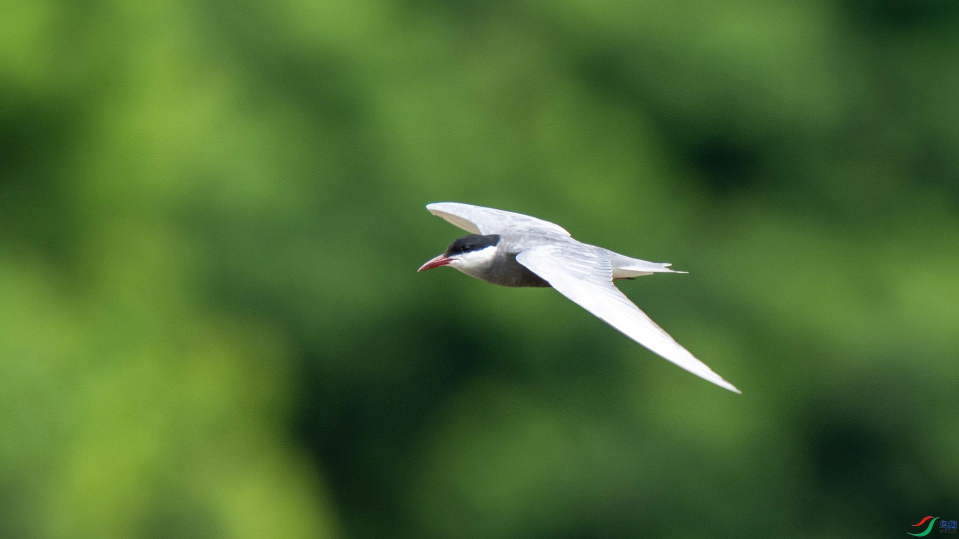 DSC07594 ����.jpg