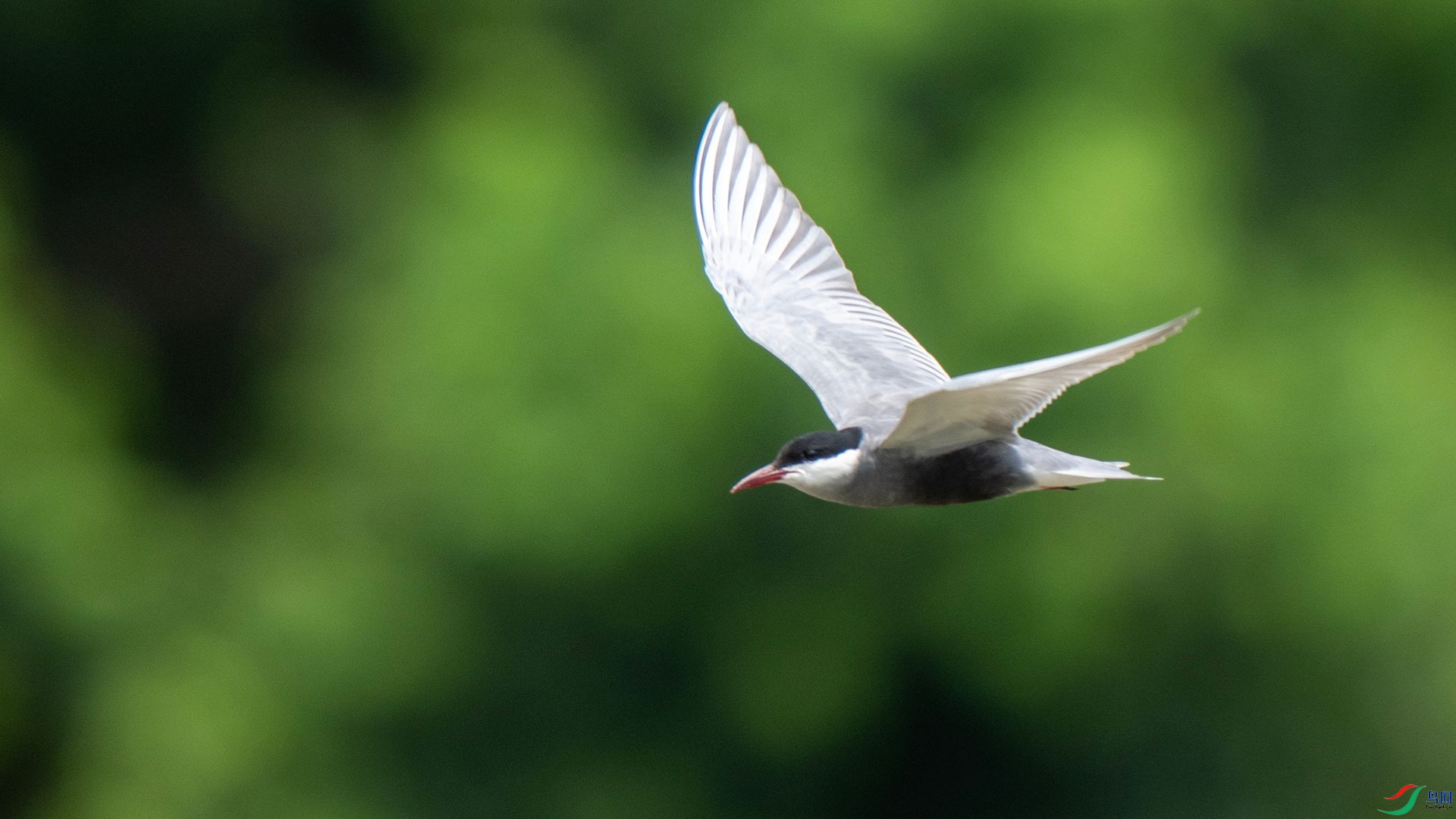 DSC07596 ����.jpg