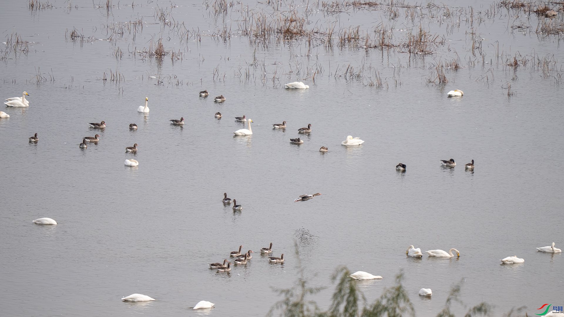 DSC07659 ����.jpg