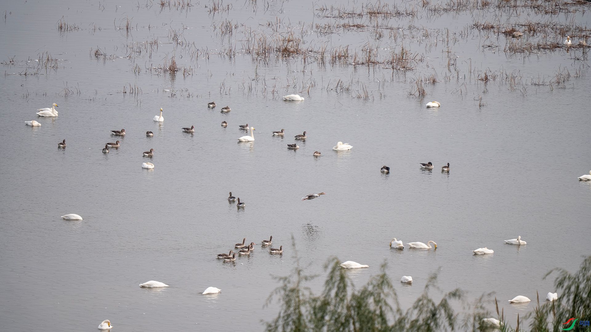 DSC07660 ����.jpg