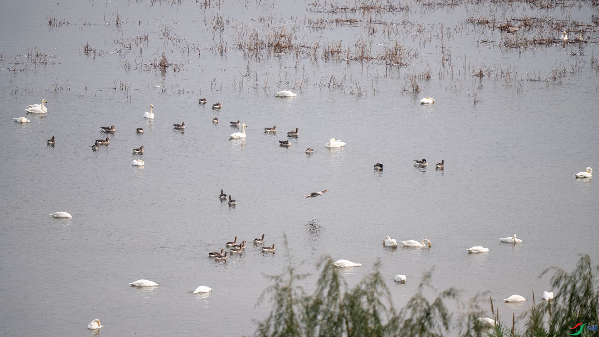 DSC07661 ����.jpg