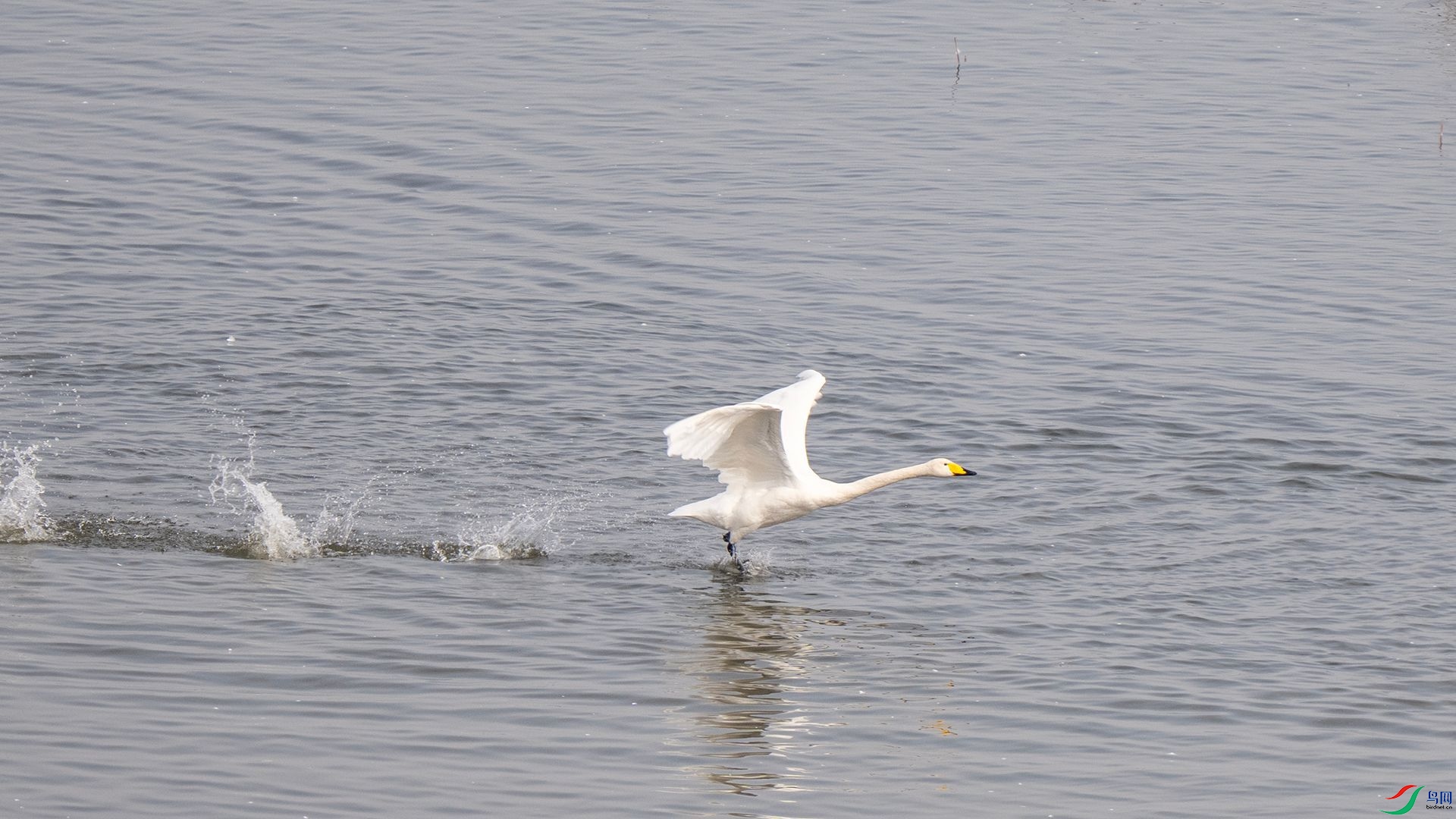 DSC07664 ����.jpg