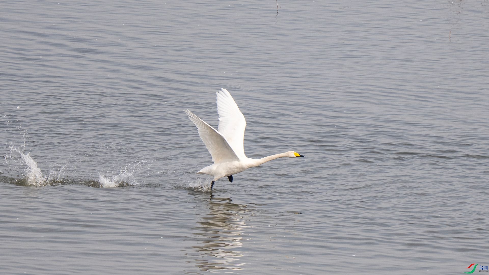 DSC07665 ����.jpg