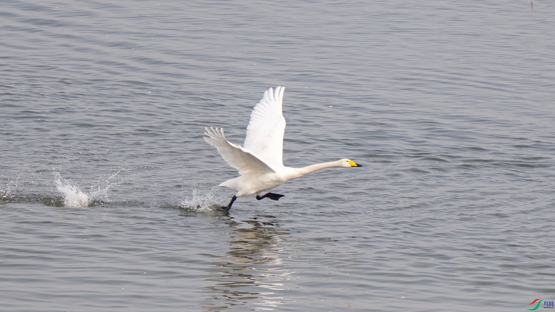 DSC07666 ����.jpg