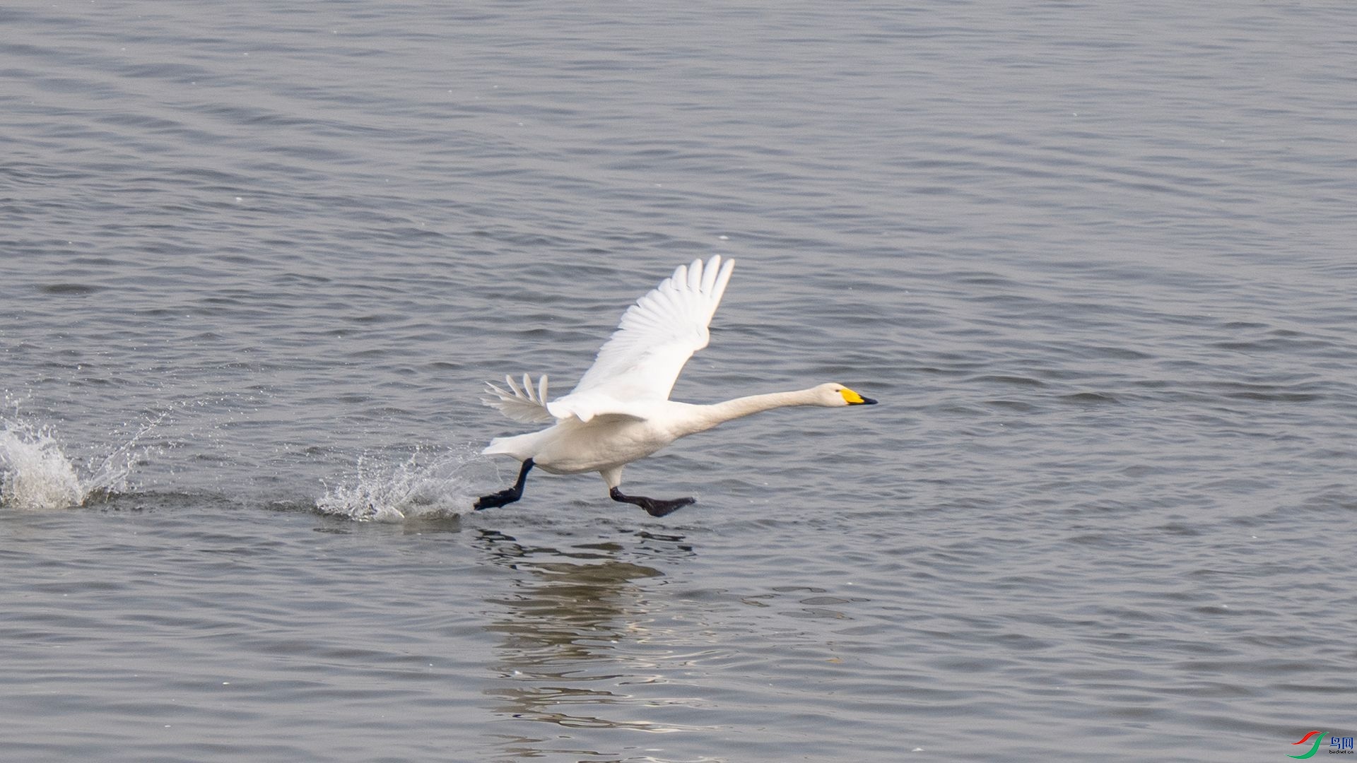 DSC07667 ����.jpg