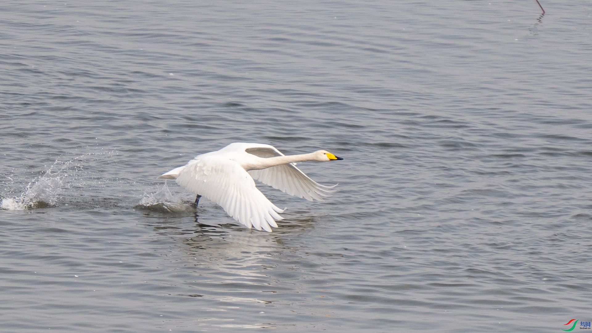 DSC07670 ����.jpg