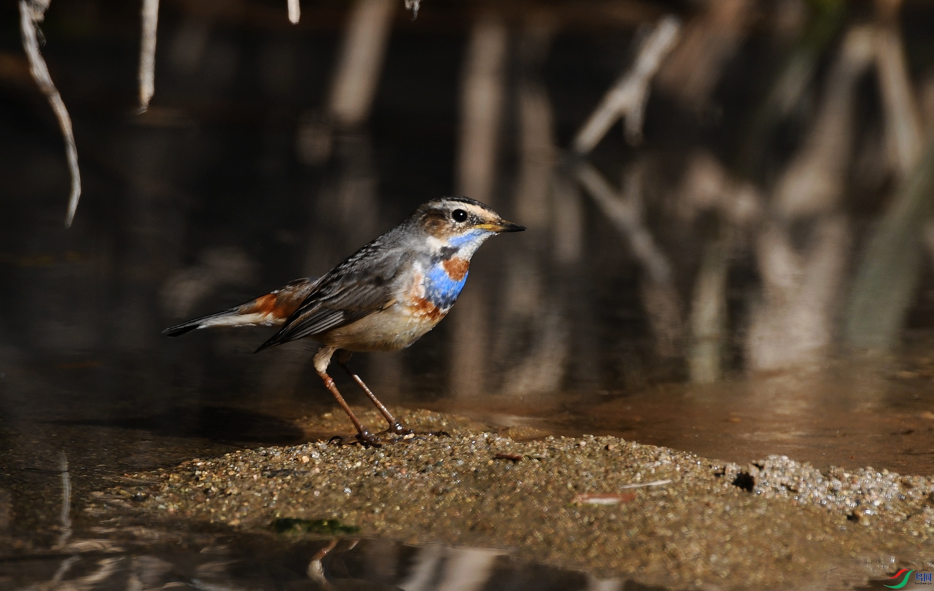 DSC_4959.jpg