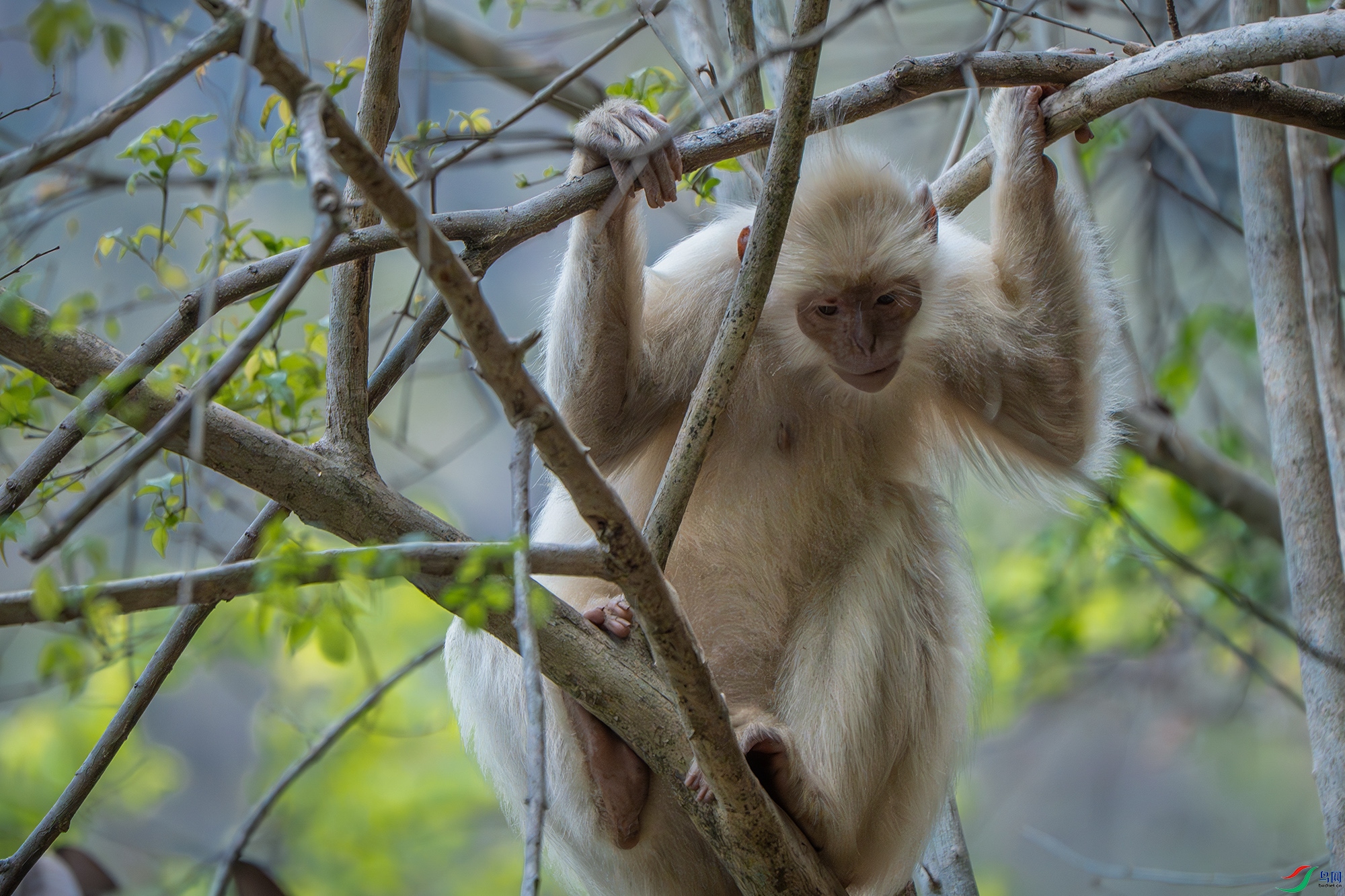 DSC05459-����ǿ-NR ����.jpg