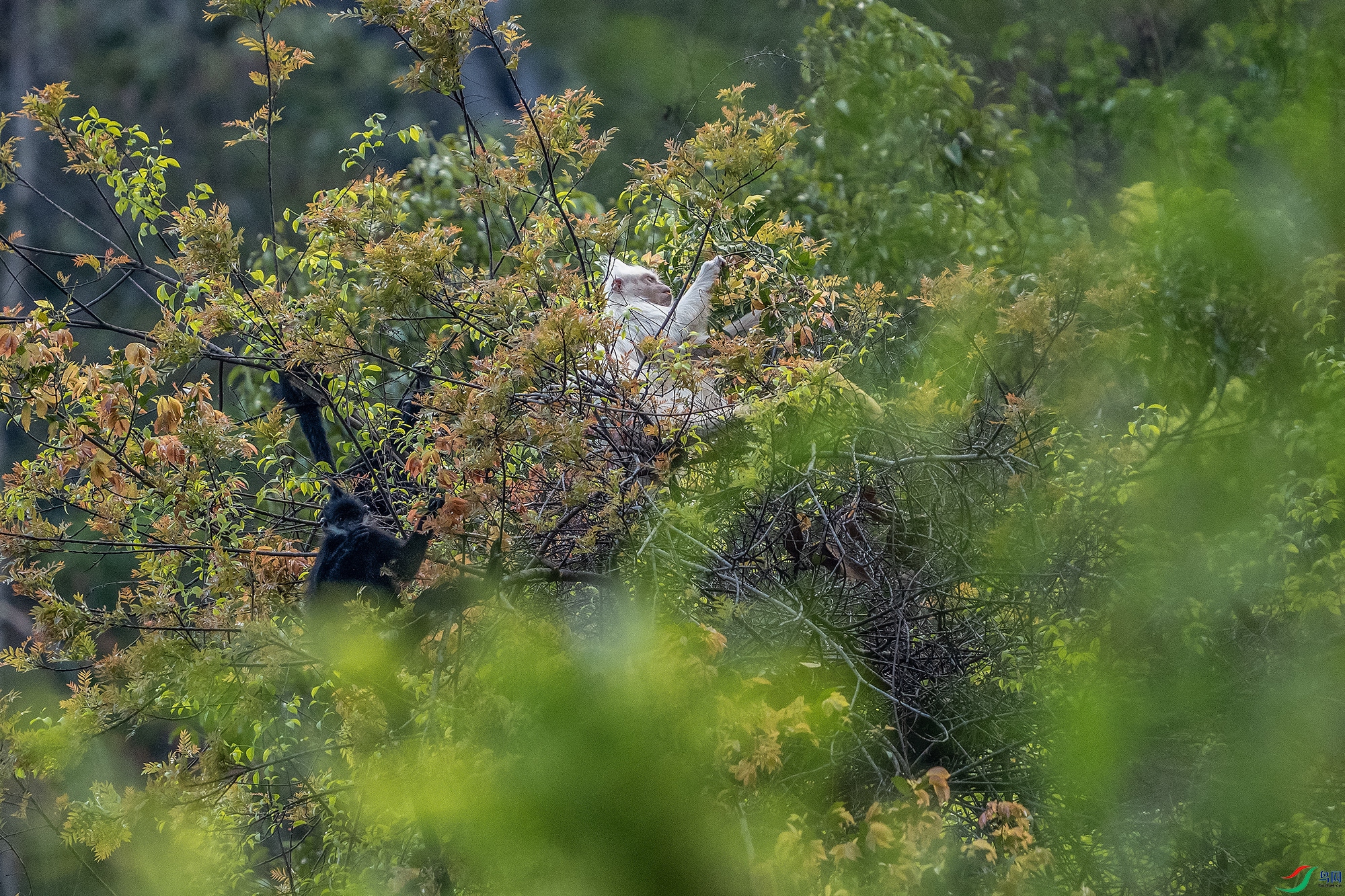 DSC06761 ����a.jpg