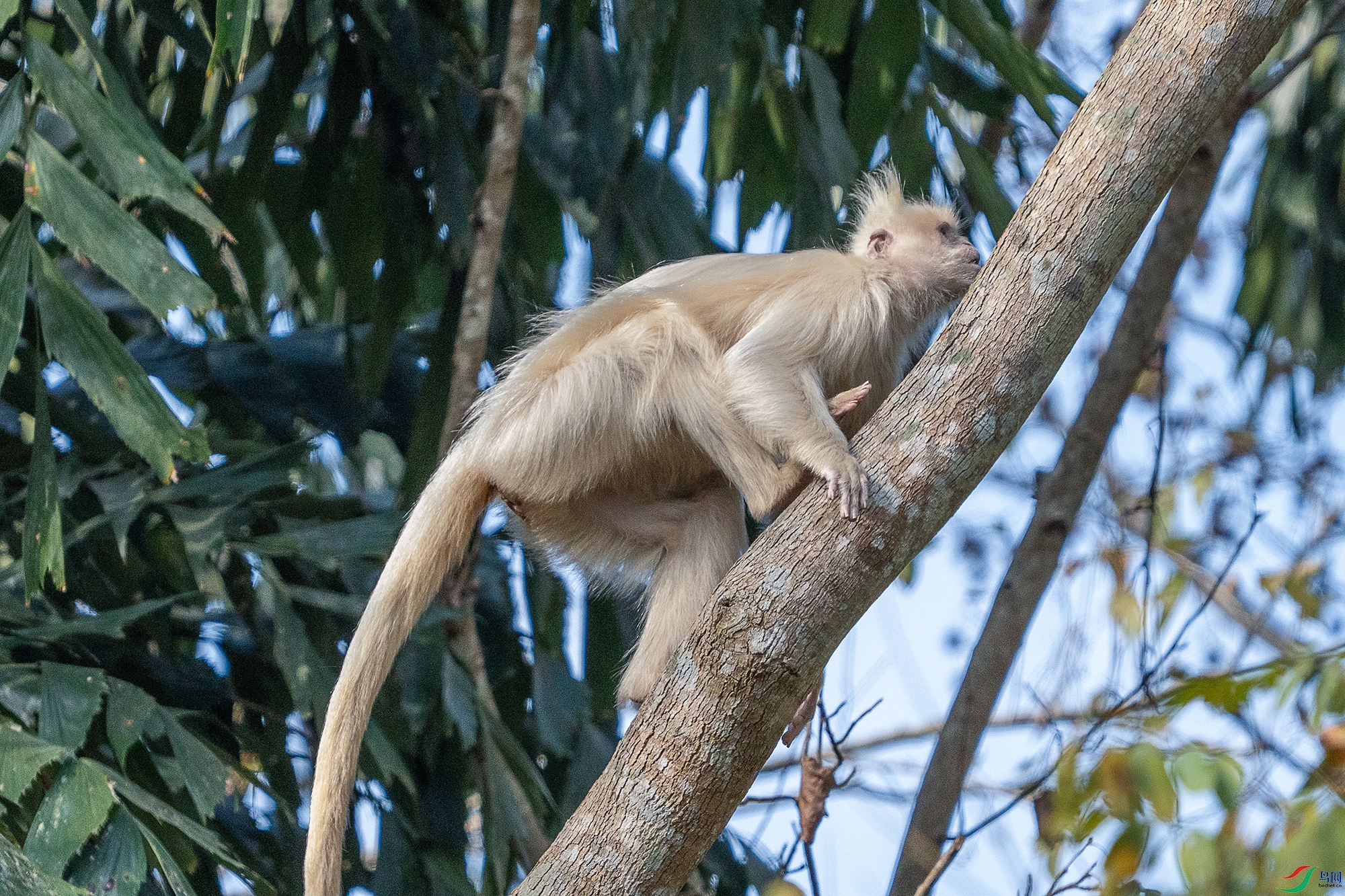 DSC06910 ����.jpg