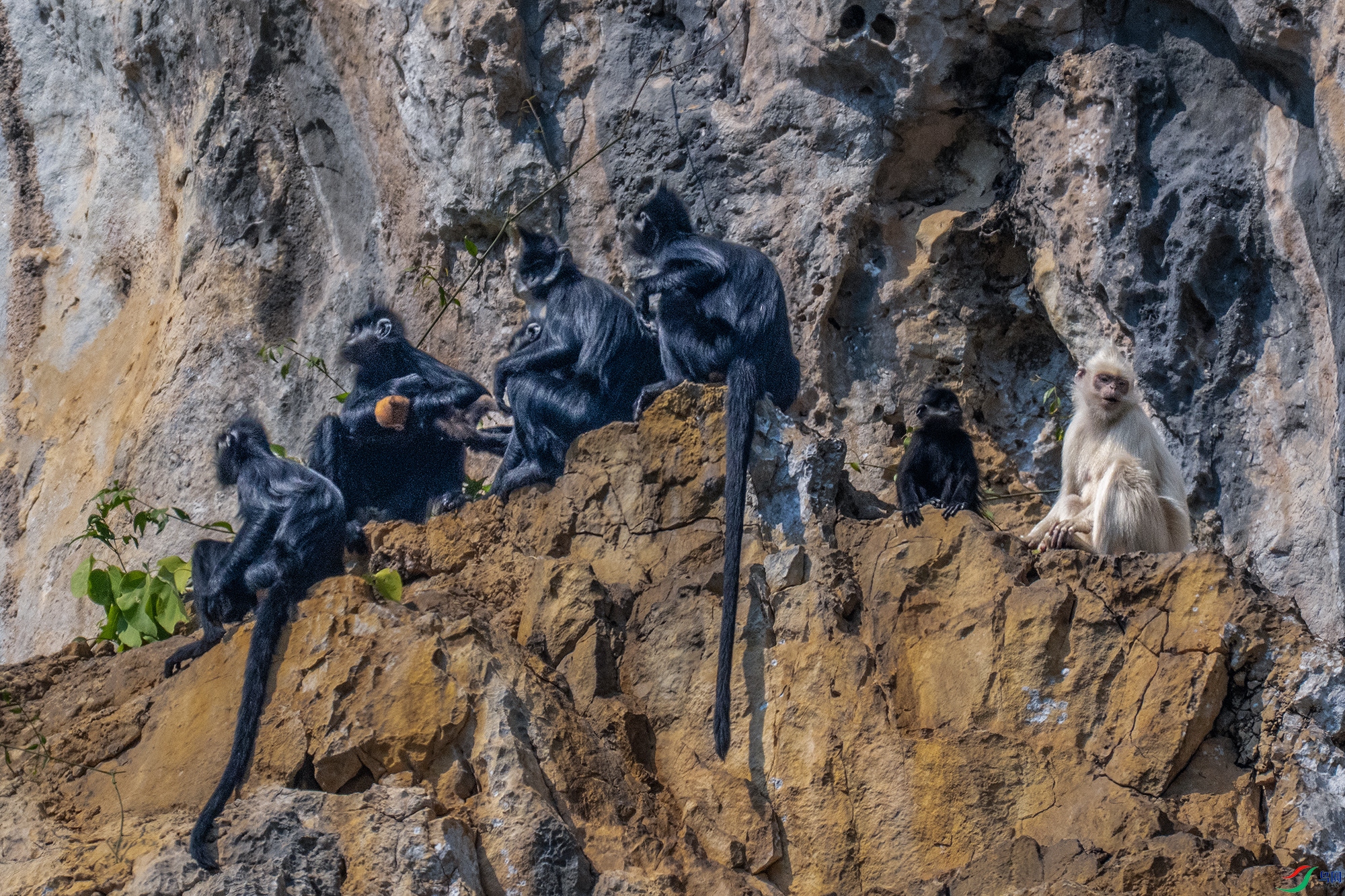 DSC_3066 ����.jpg