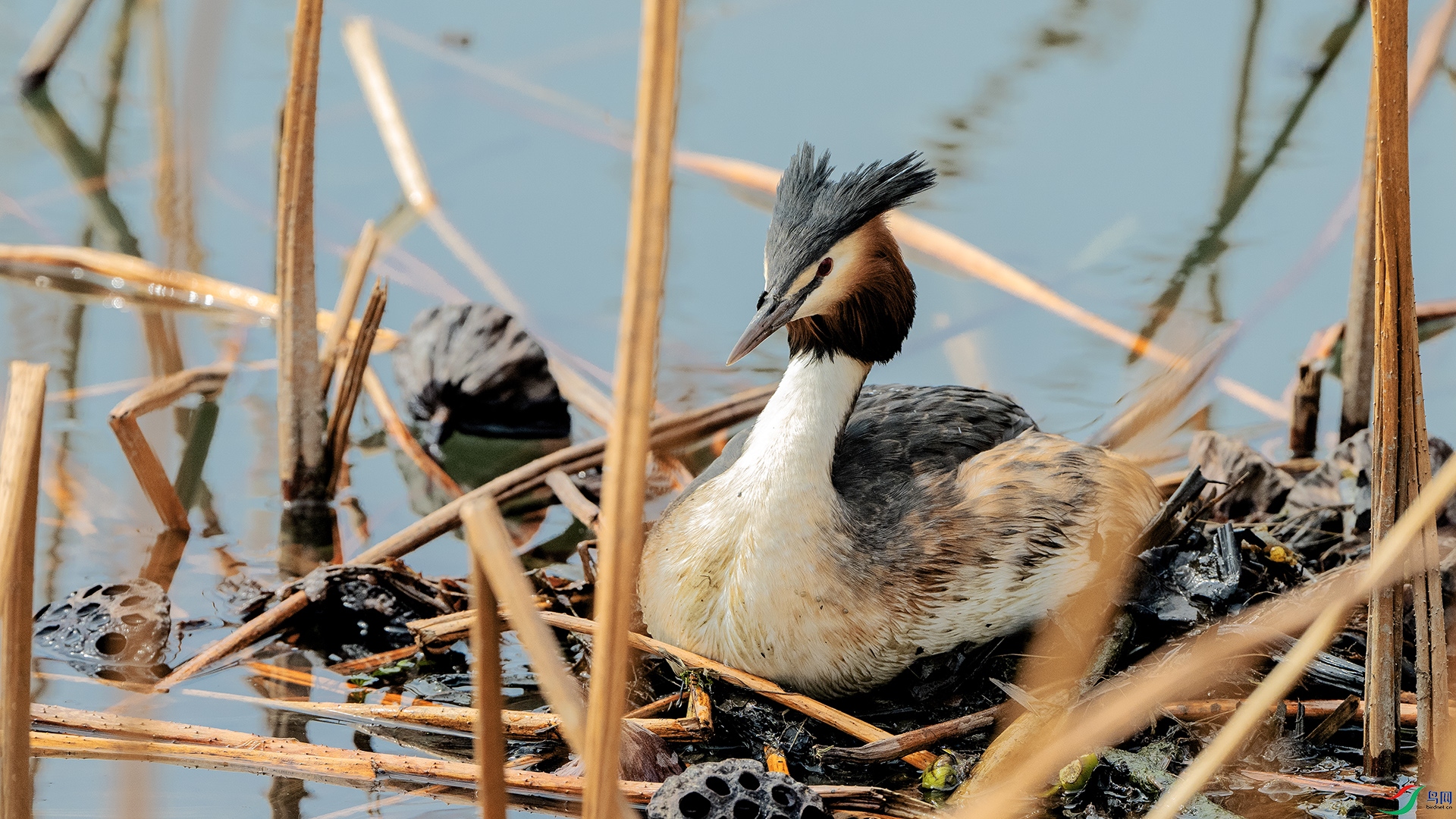 DSC_4027 ����.jpg