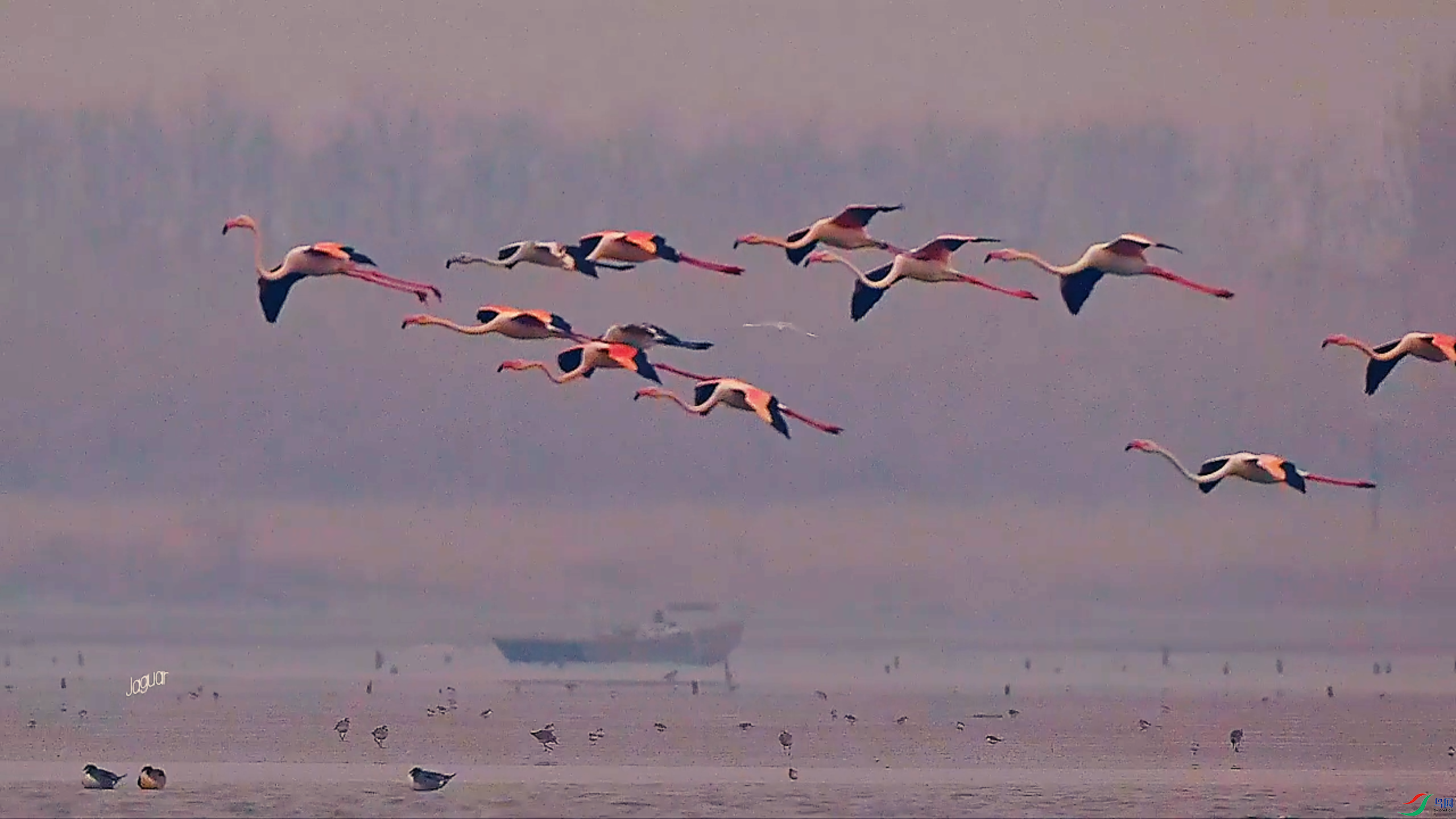 3��21�� (1).png