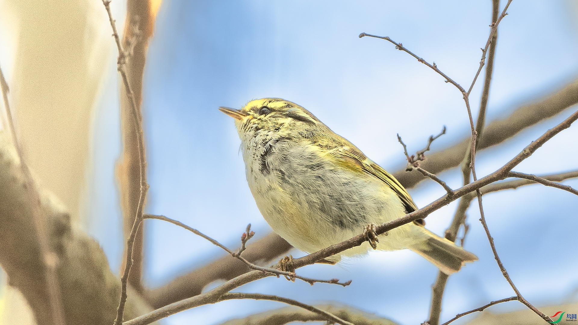 DSC_3843 ����.jpg