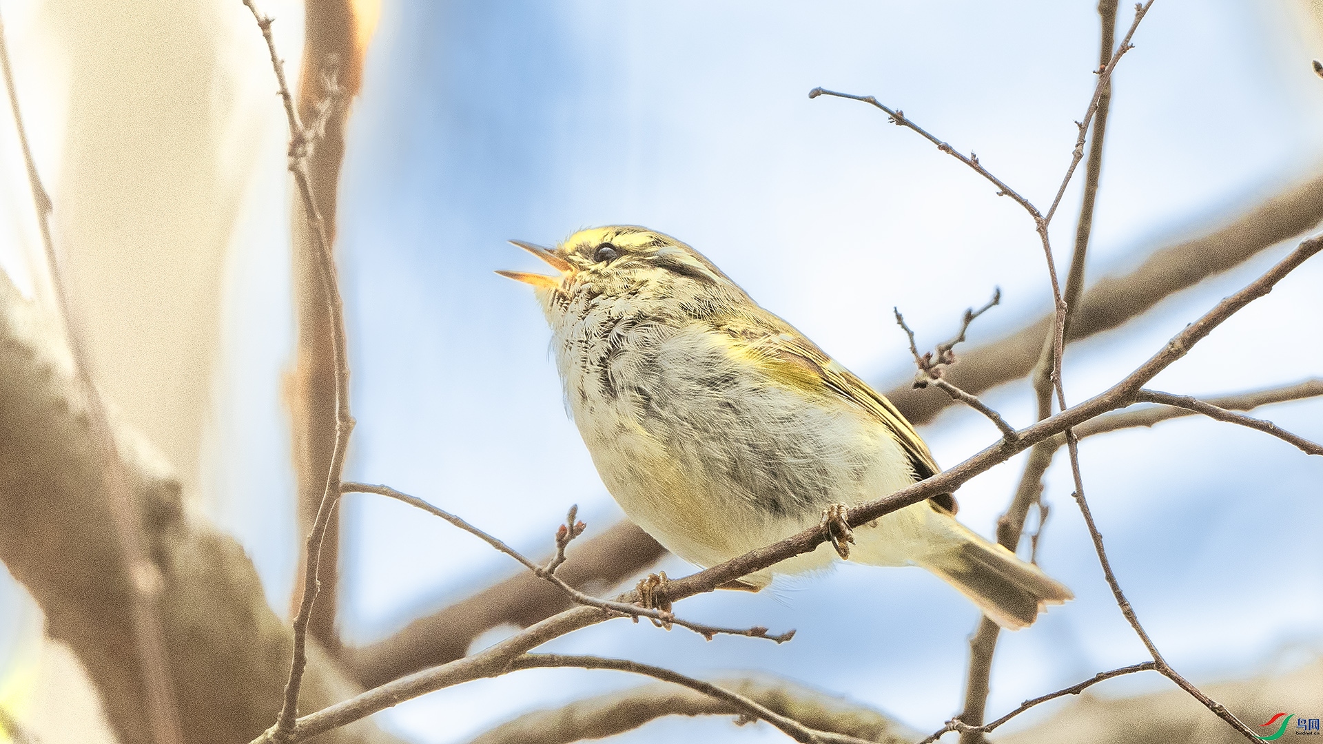 DSC_3844 ����.jpg