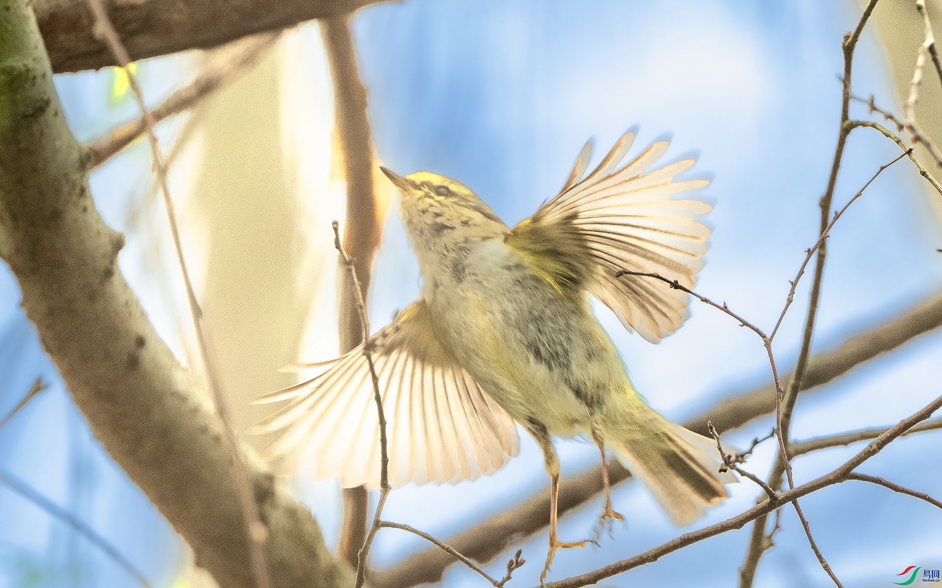 DSC_3846 ����.jpg