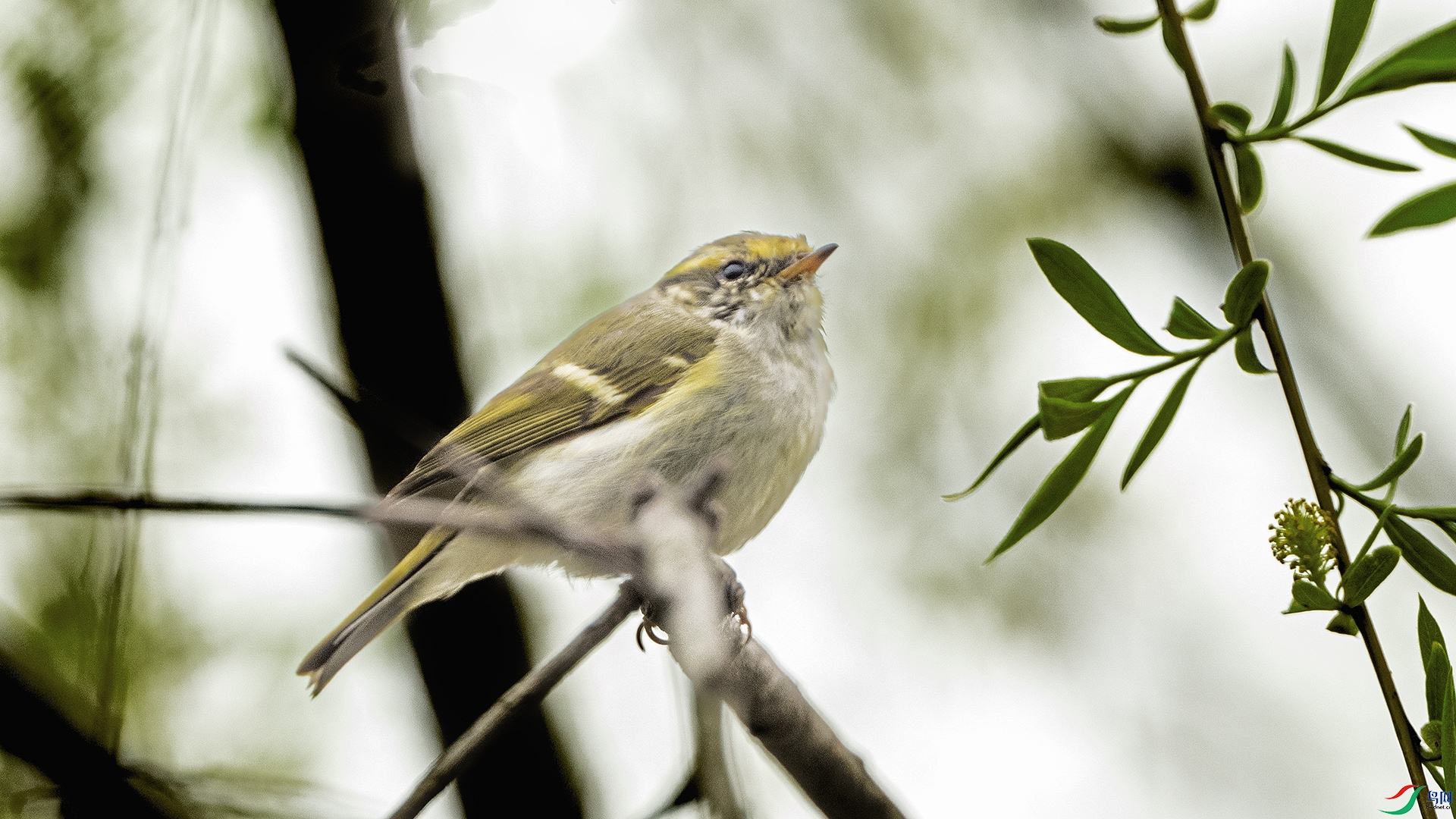 DSC_3877 ����.jpg