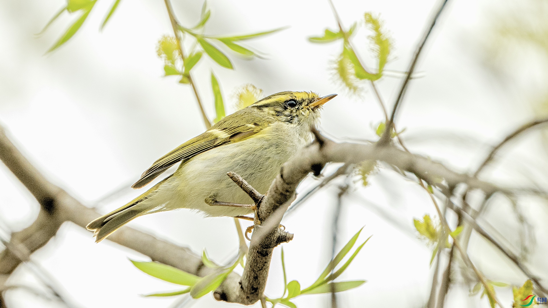 DSC_3884 ����.jpg