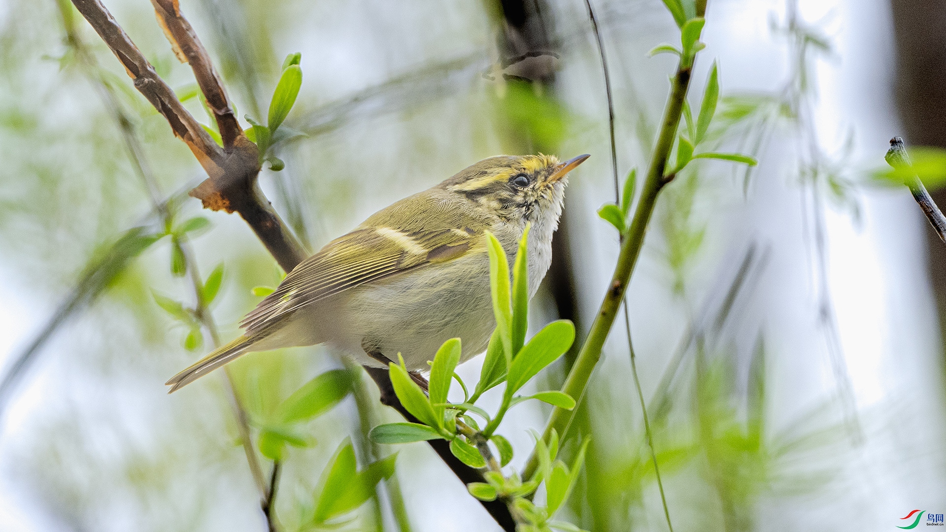 DSC_3887 ����.jpg