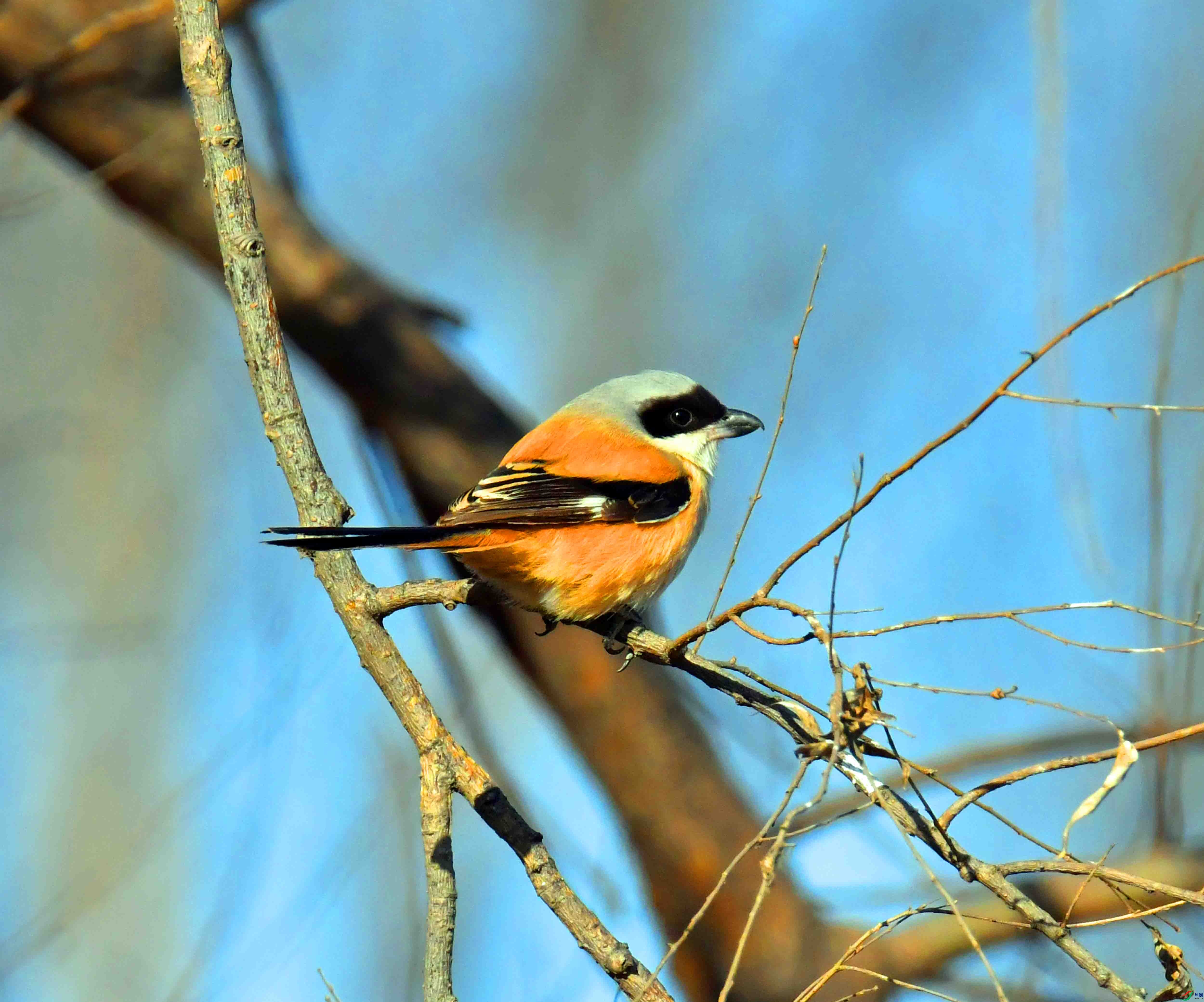 DSC_6212.JPG