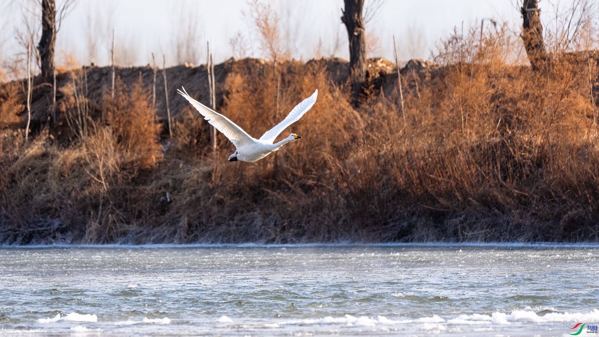 _DSC6444.jpg