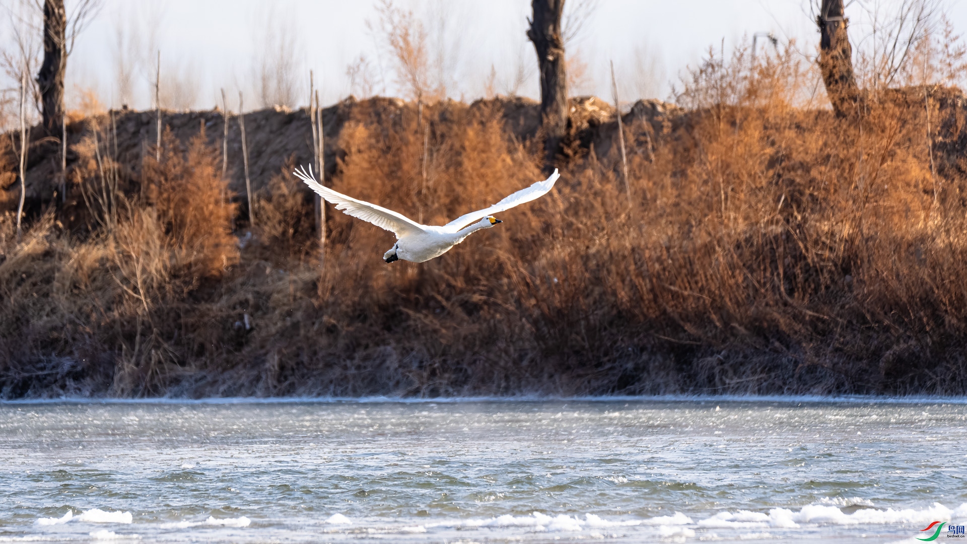 _DSC6445.jpg