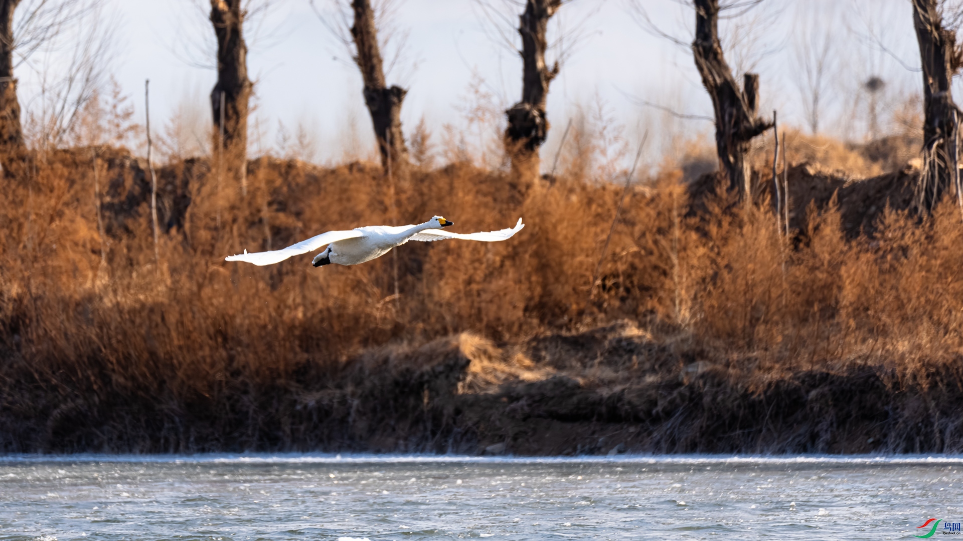 _DSC6463.jpg