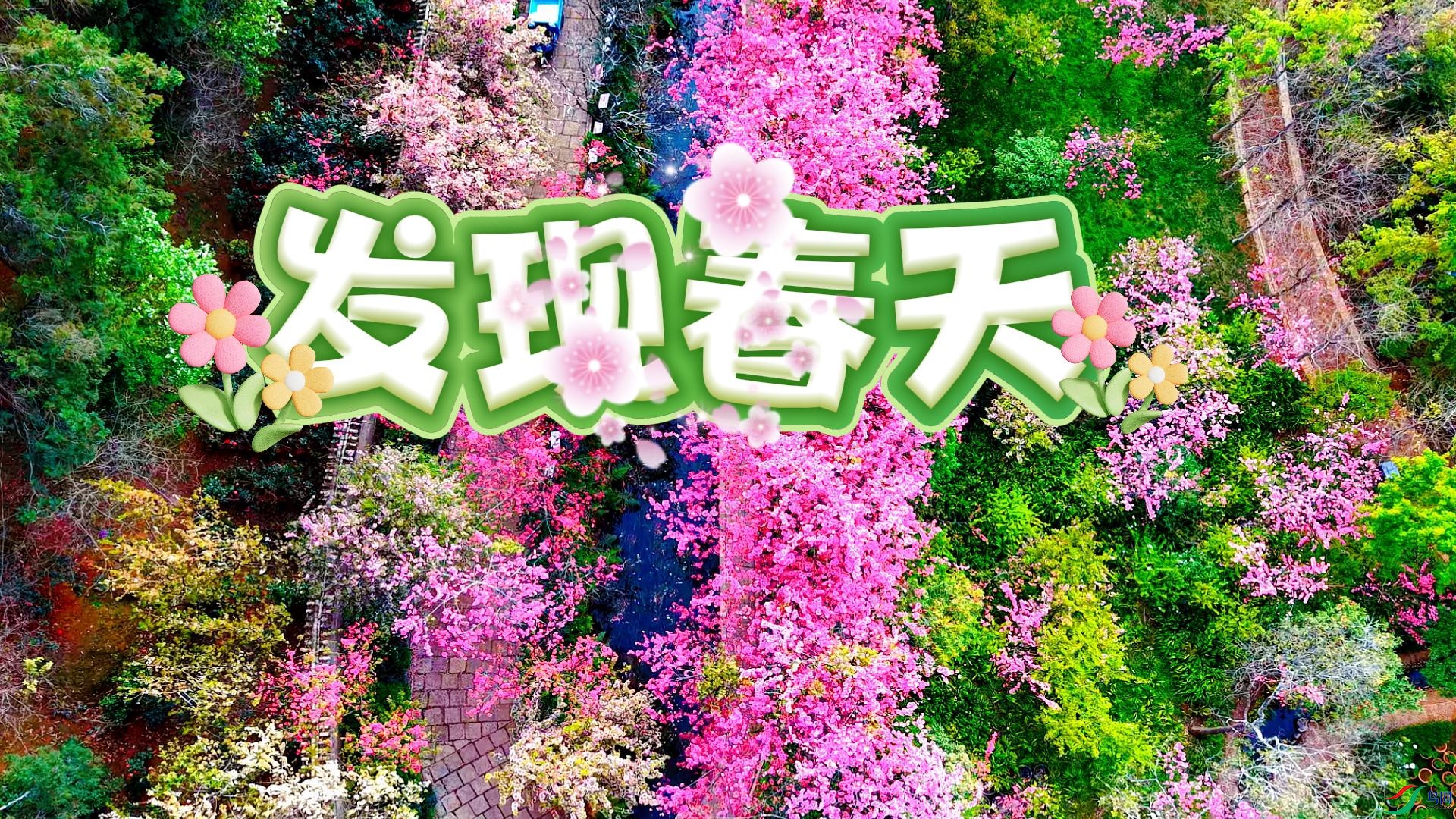 �����ִ��졷1080-����.jpg