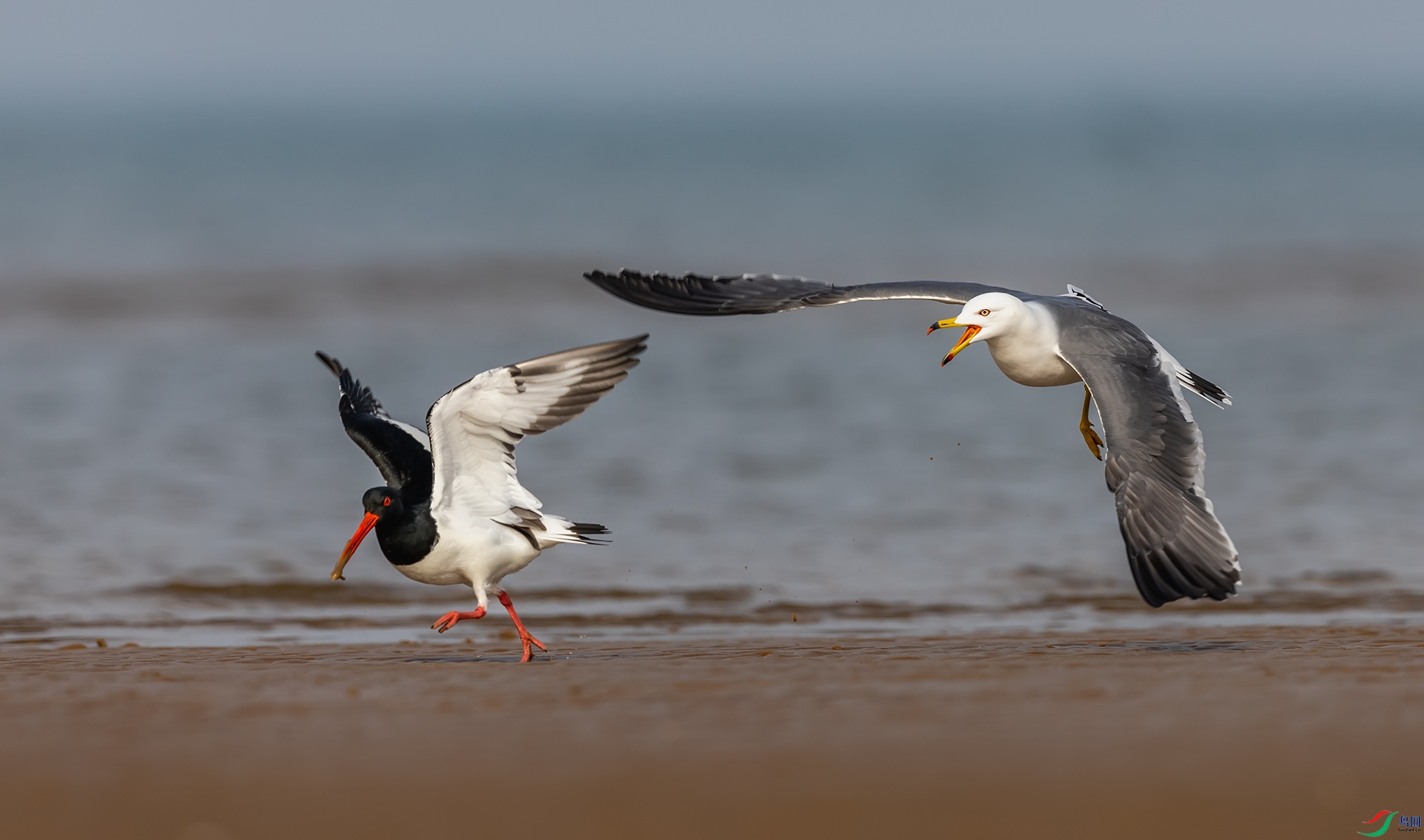 ��βŸ������