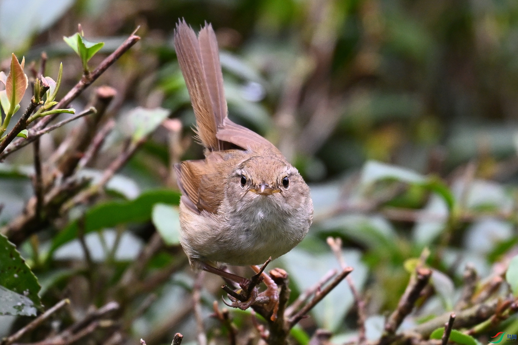 DSC_2708.JPG