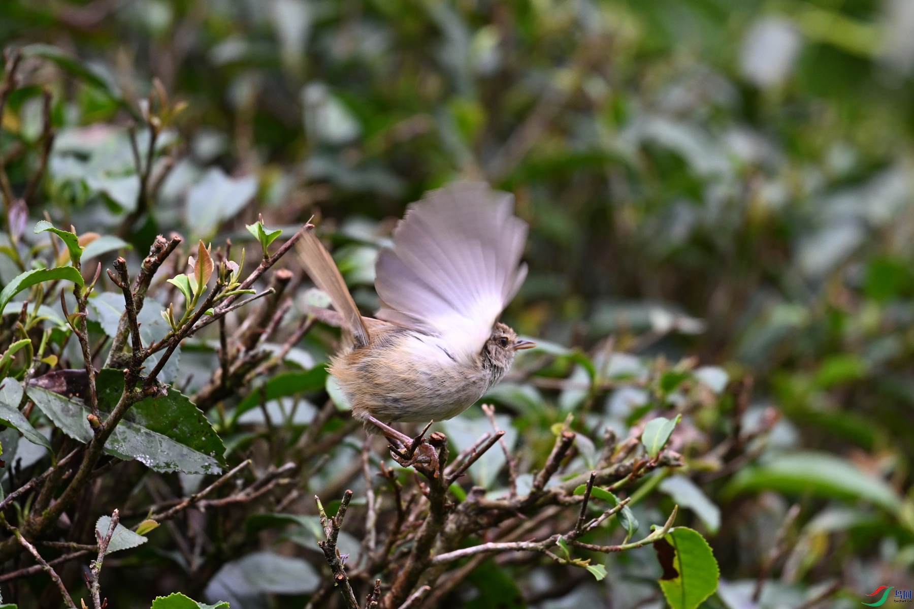 DSC_2701.JPG