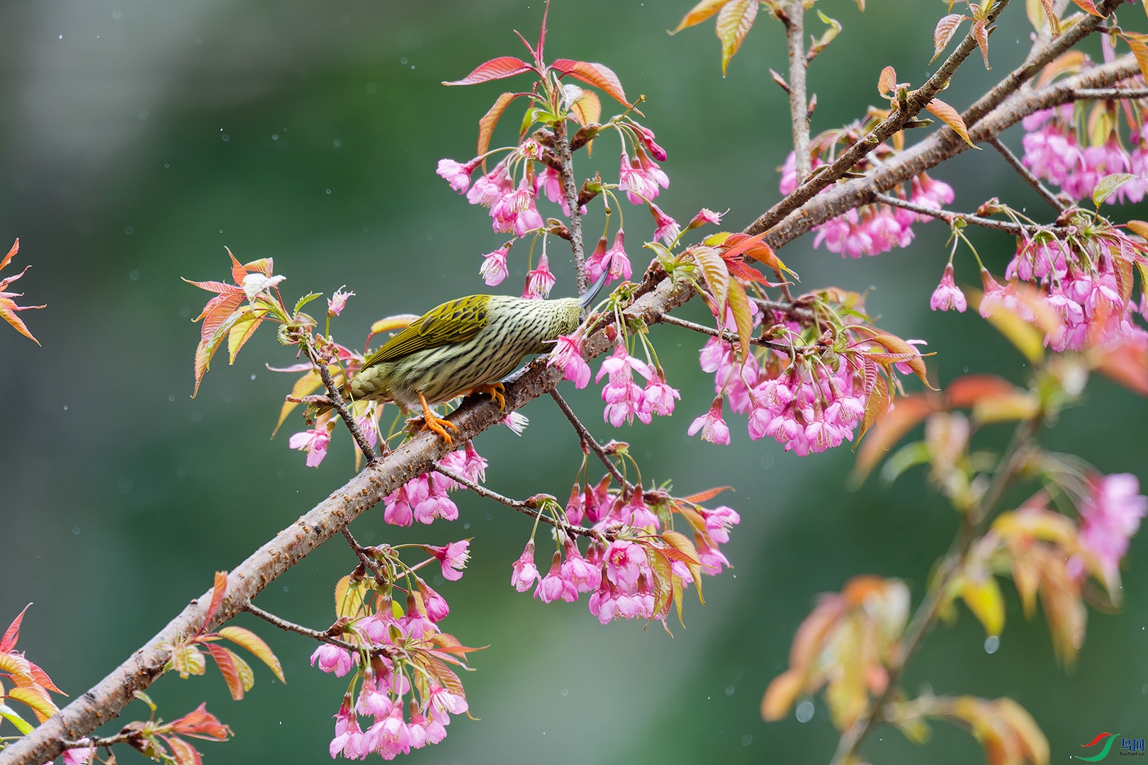 DSC_5176_DxO_DxOa.jpg