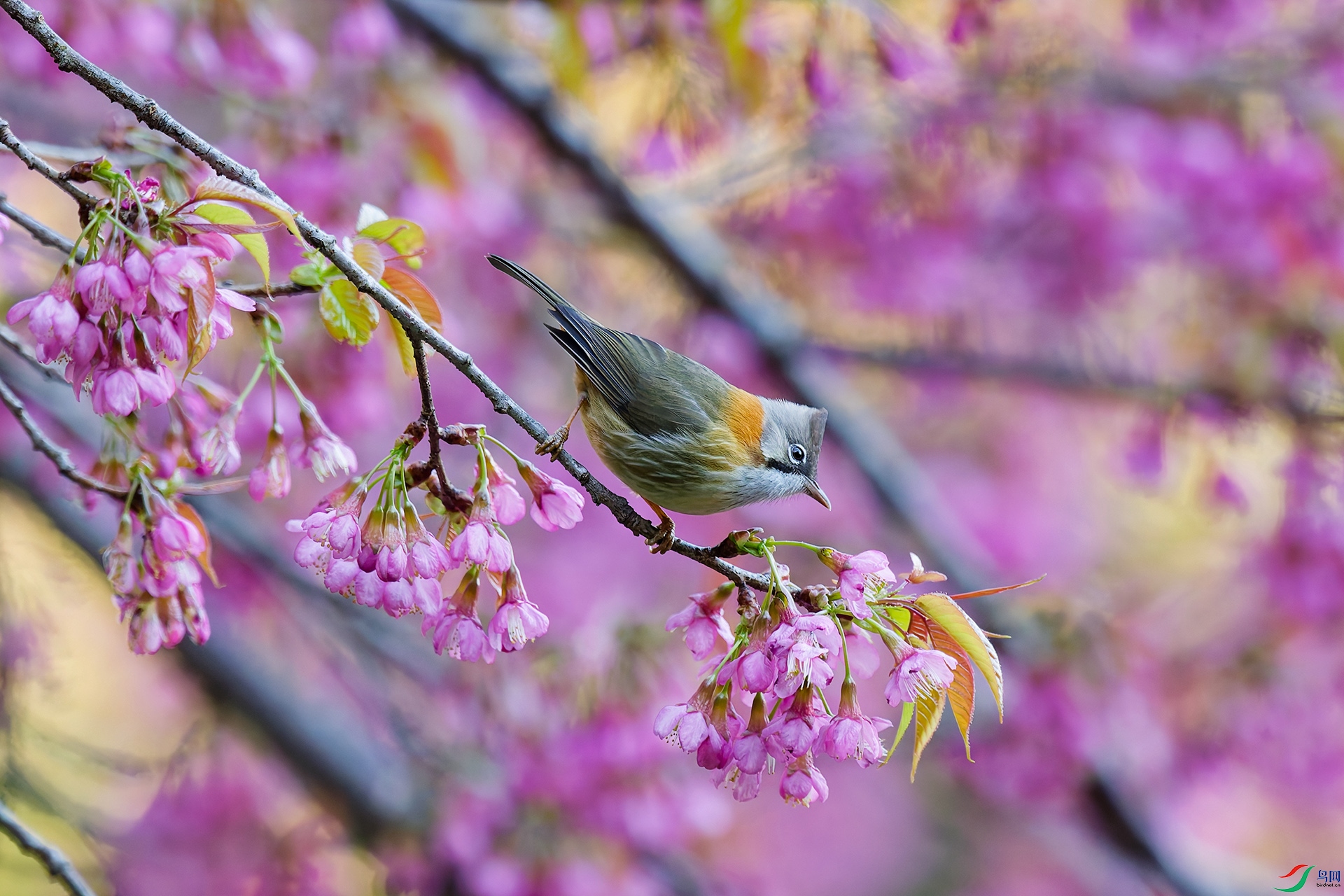DSC_4693_DxO_DxOa.jpg