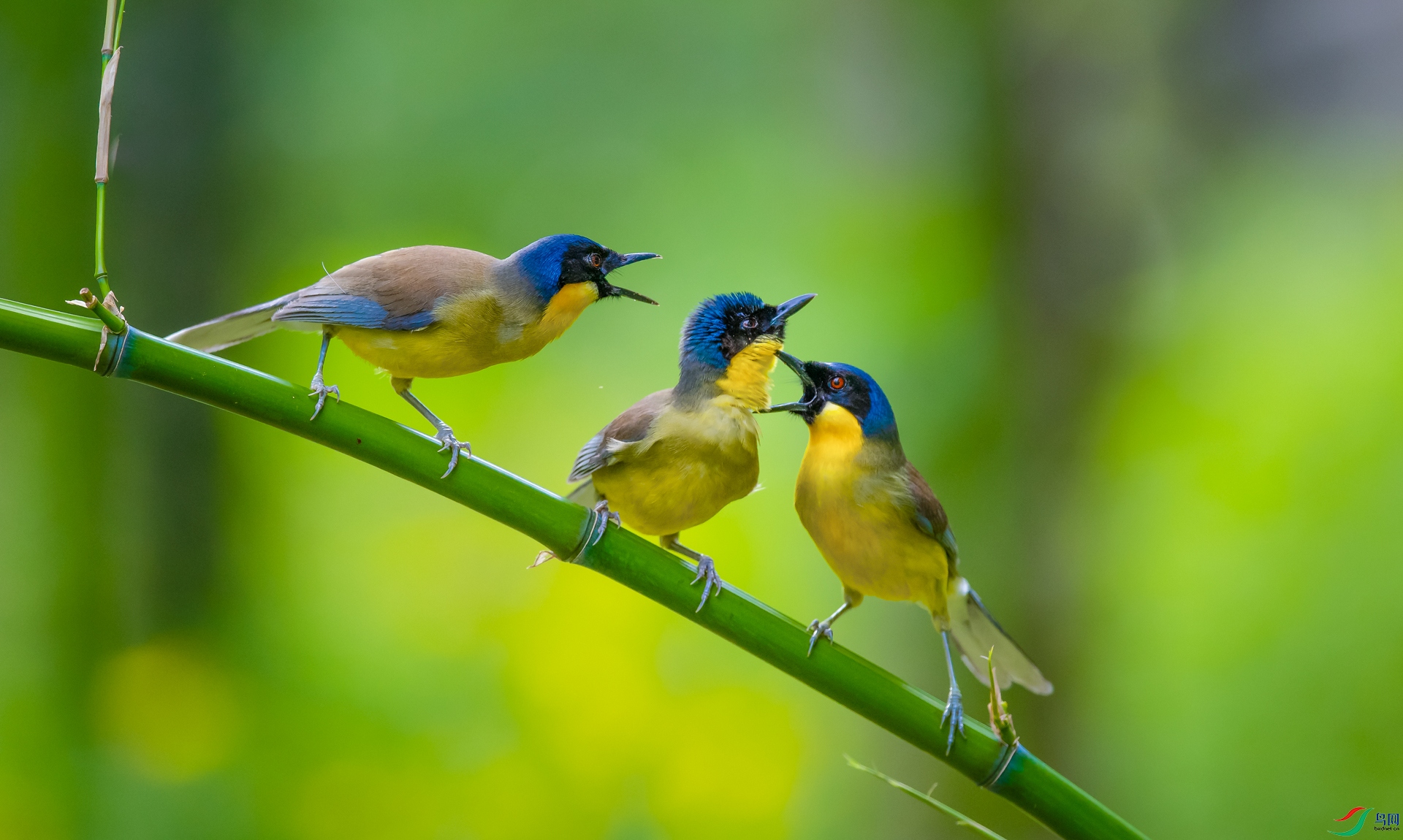 DSC_�ƺ����� - ����.jpg