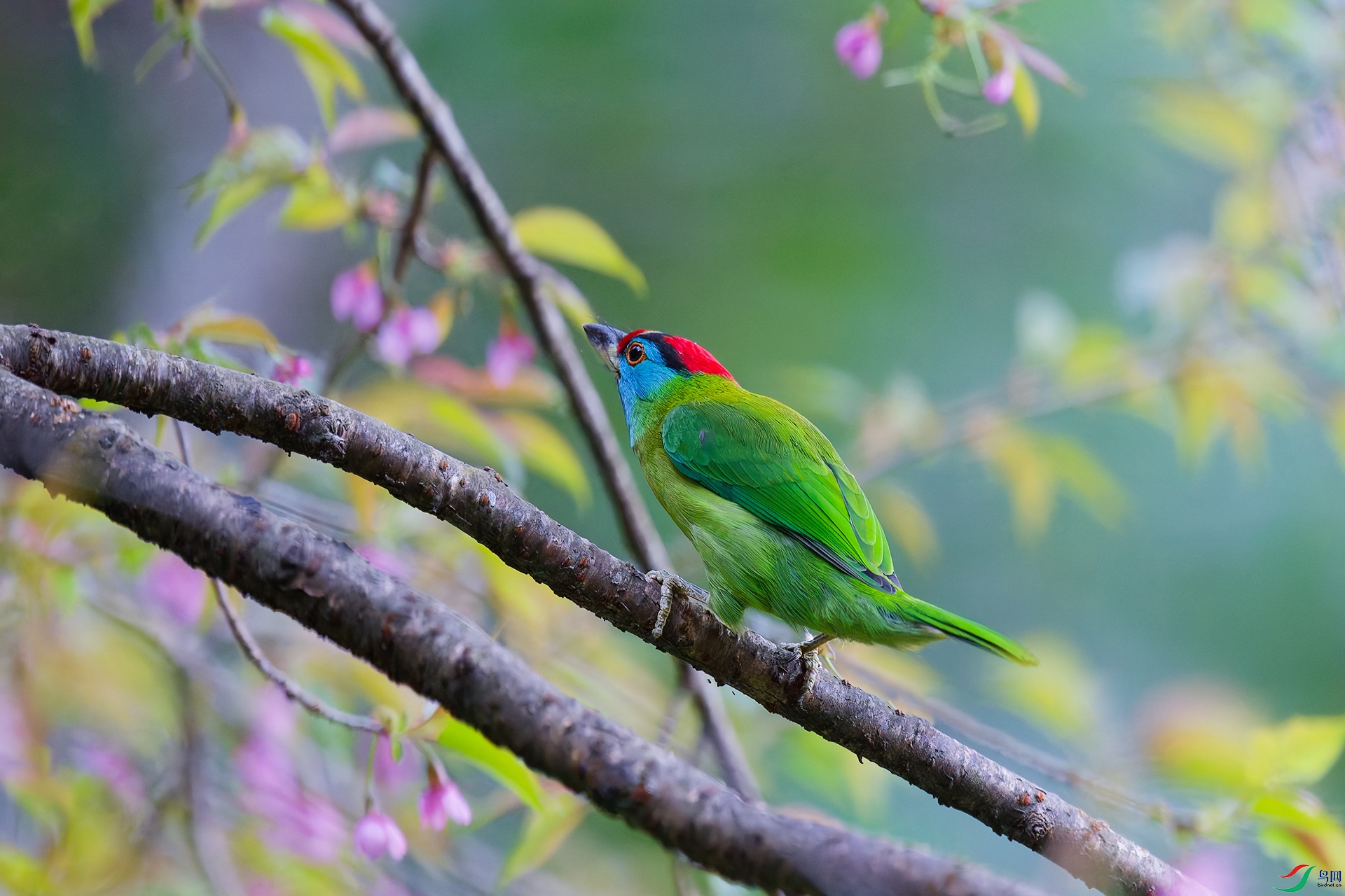 DSC_2677_DxO_DxOa.jpg