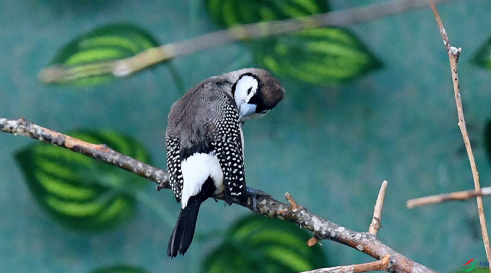 ˫�߲�ȸ (8).JPG