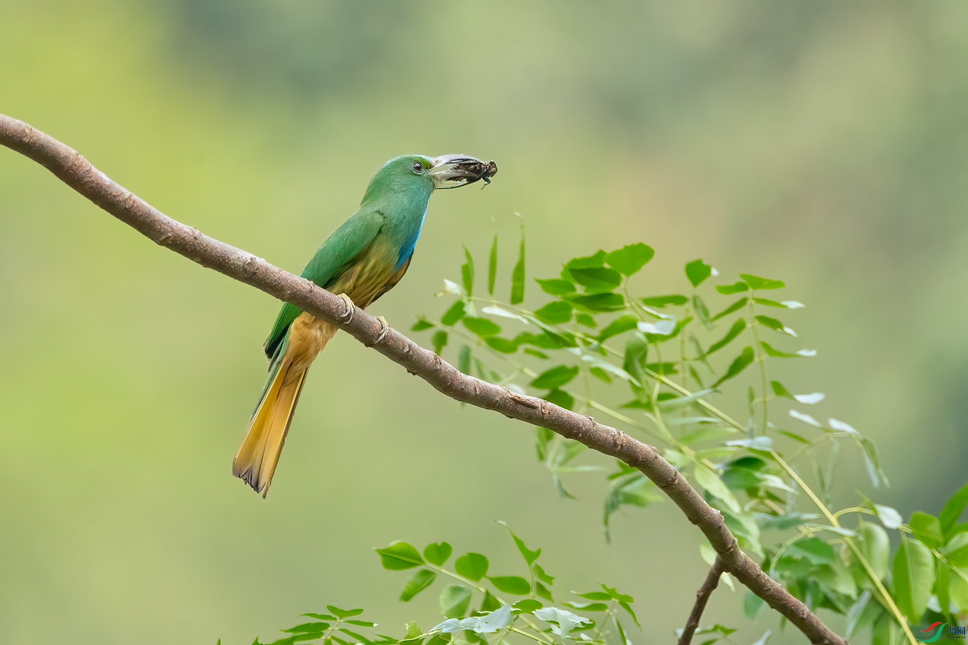 B86I5958 _����.jpg