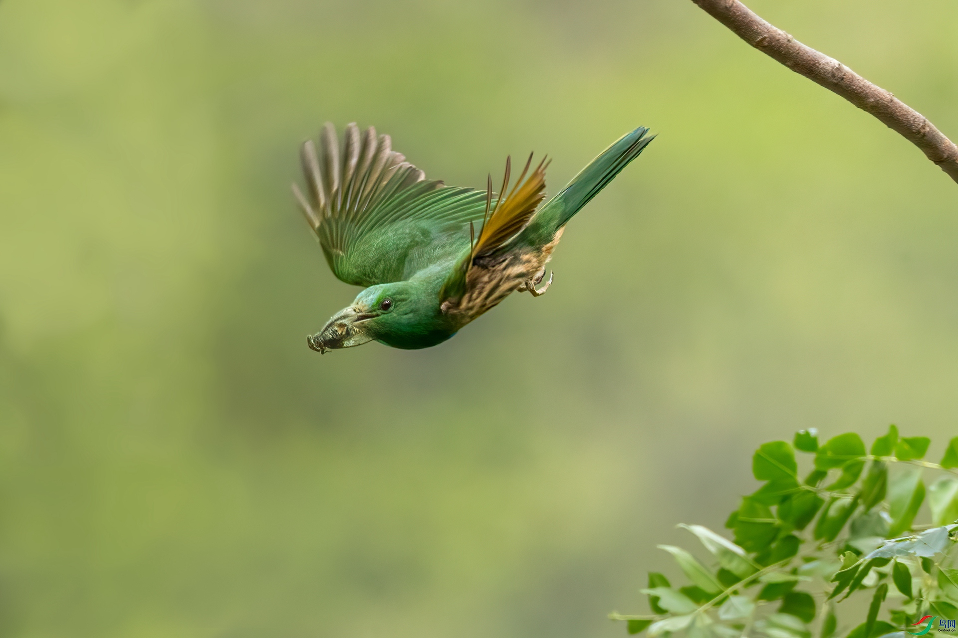 B86I5978 _����.jpg