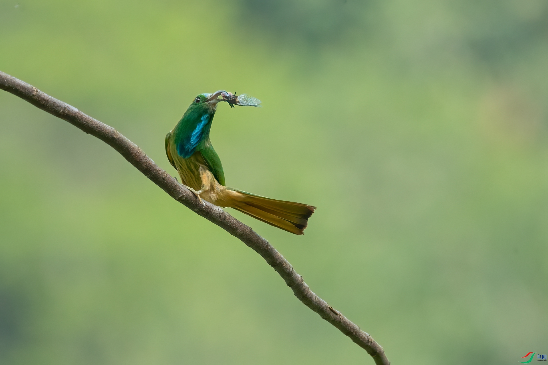 B86I6101 _����.jpg