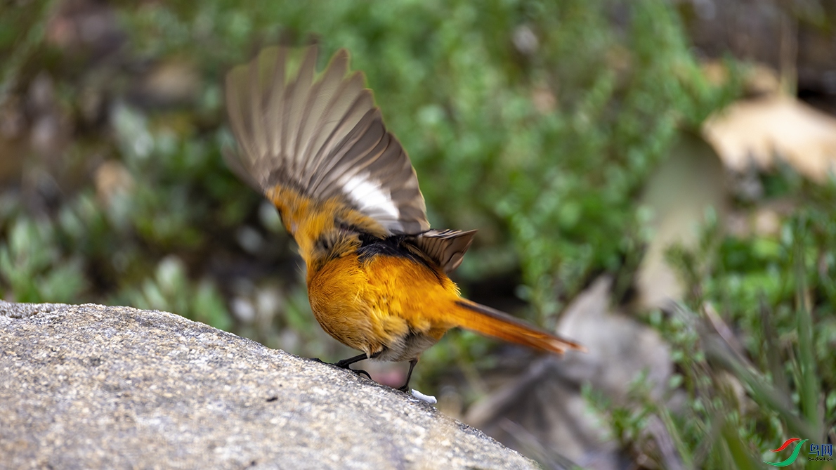 708A5700 ����-2 ����.jpg