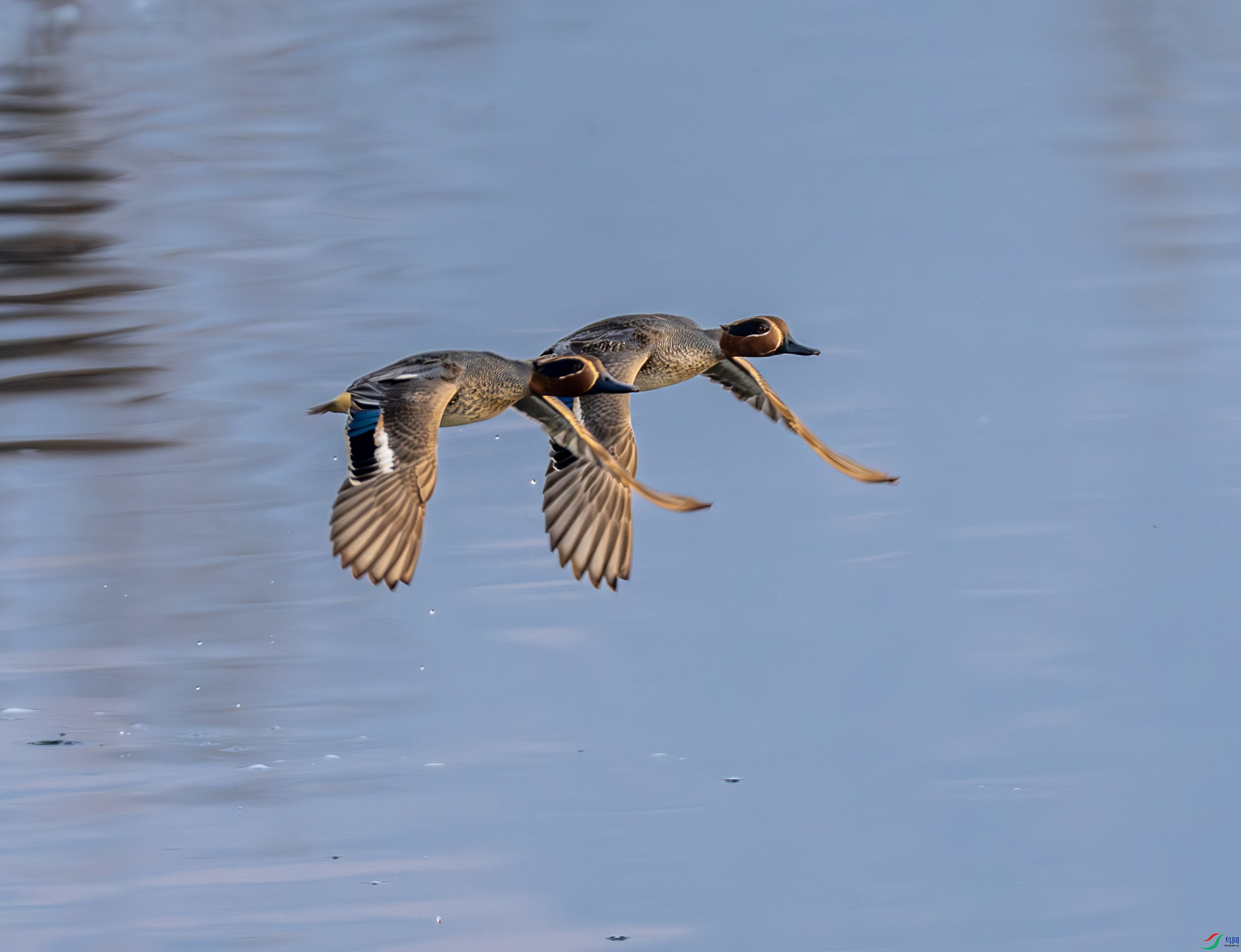 �̳�Ѽ-01 (3 - 9).jpg