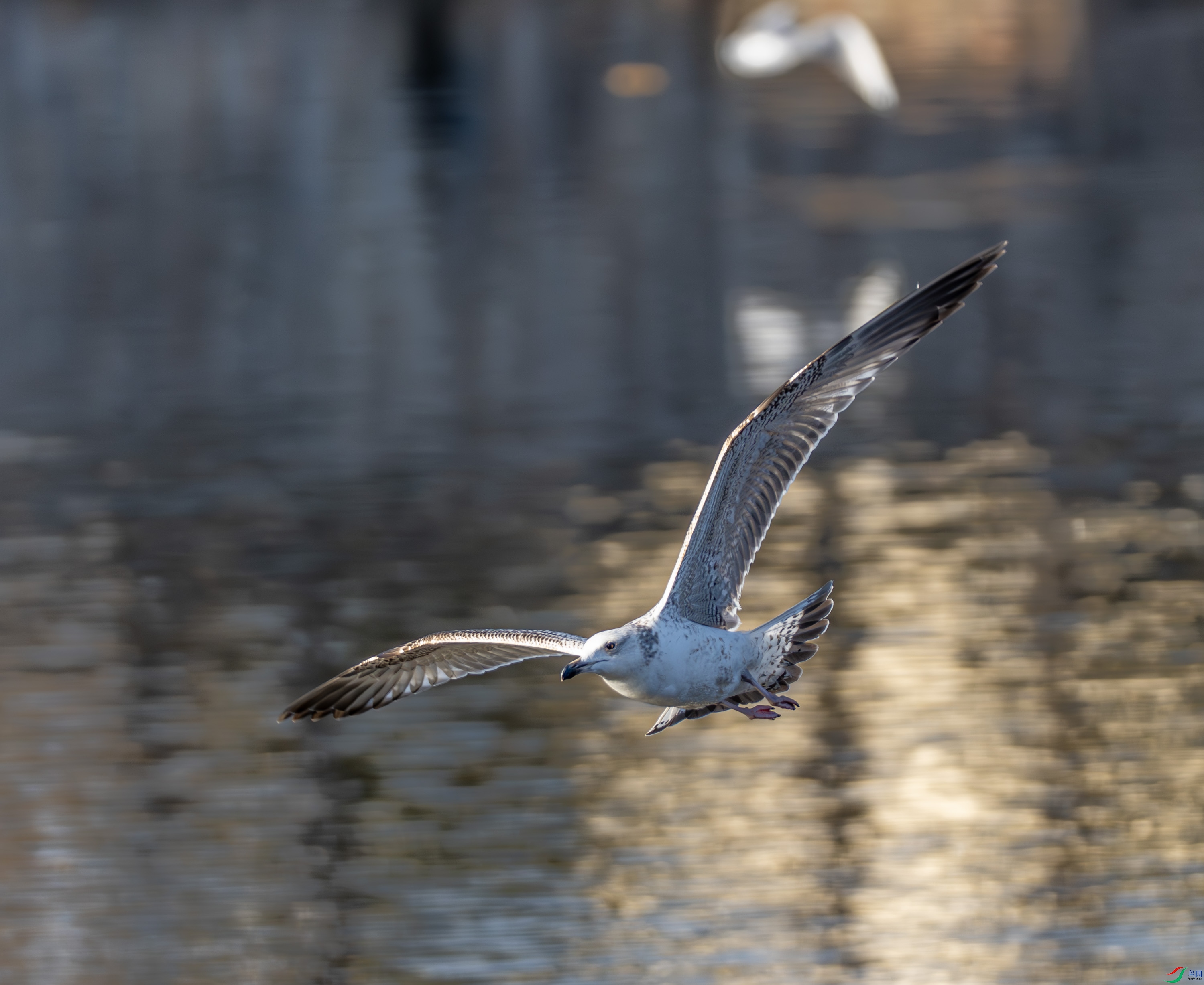 �ɹ���Ÿ-01 (3 - 9).jpg