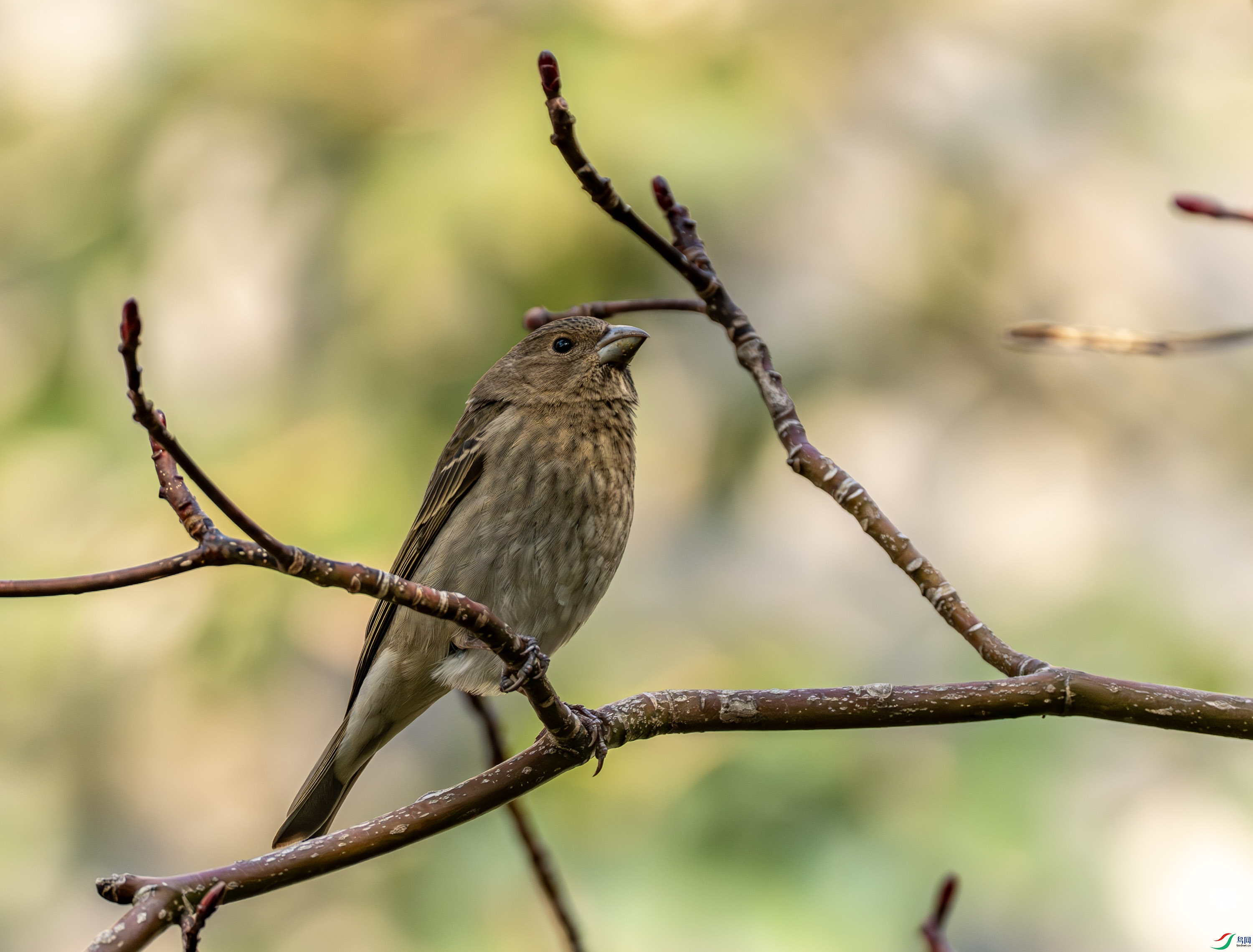 ��ͨ��ȸ-1 (2 - 12).jpg