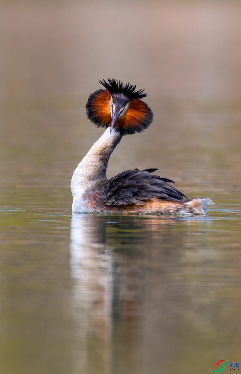 _05A2204 ����_����.jpg