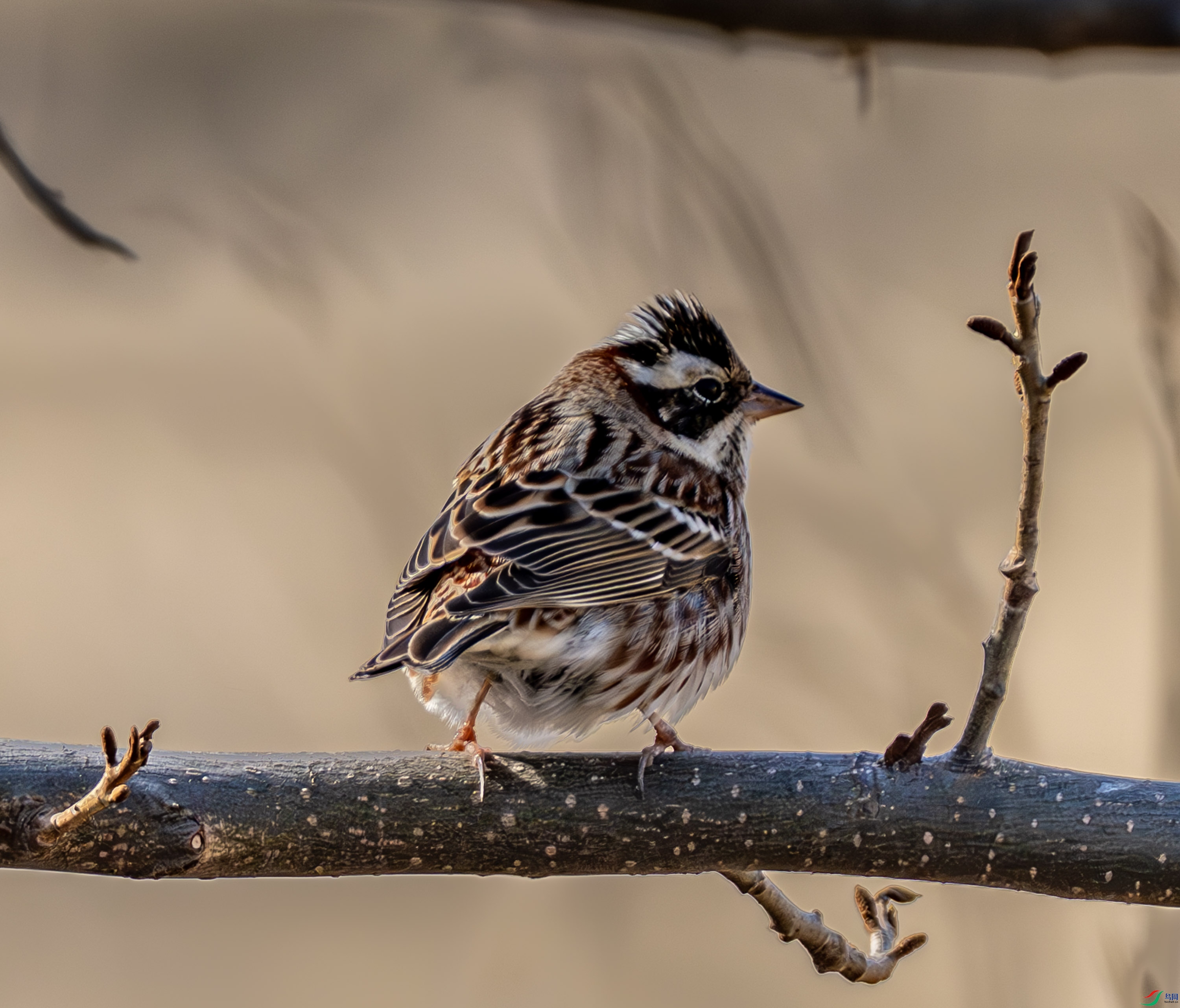 ���c-01 (2 - 5).jpg