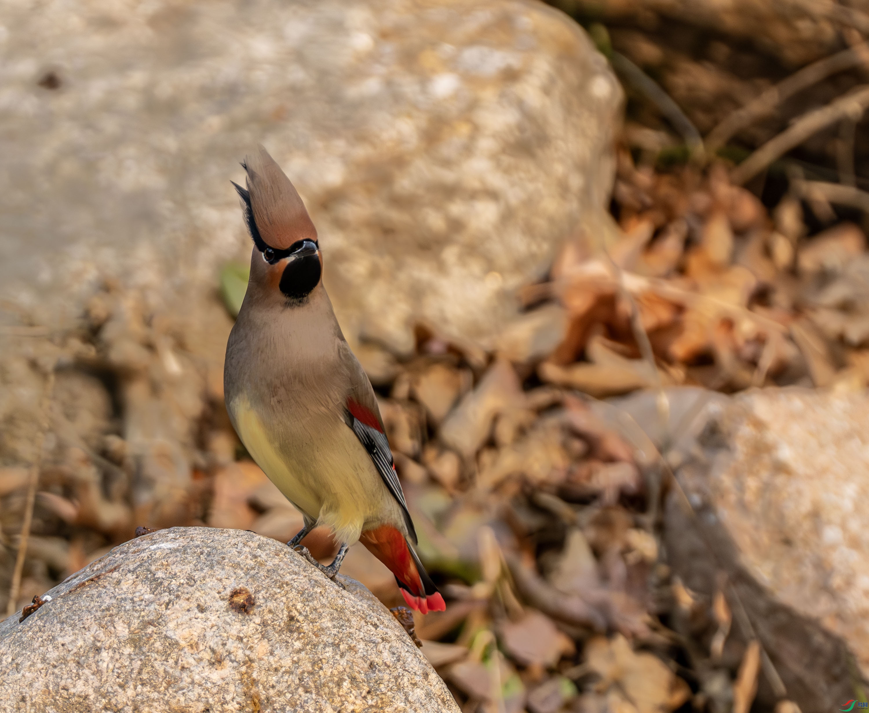 С̫ƽ��-01 (6 - 22).jpg