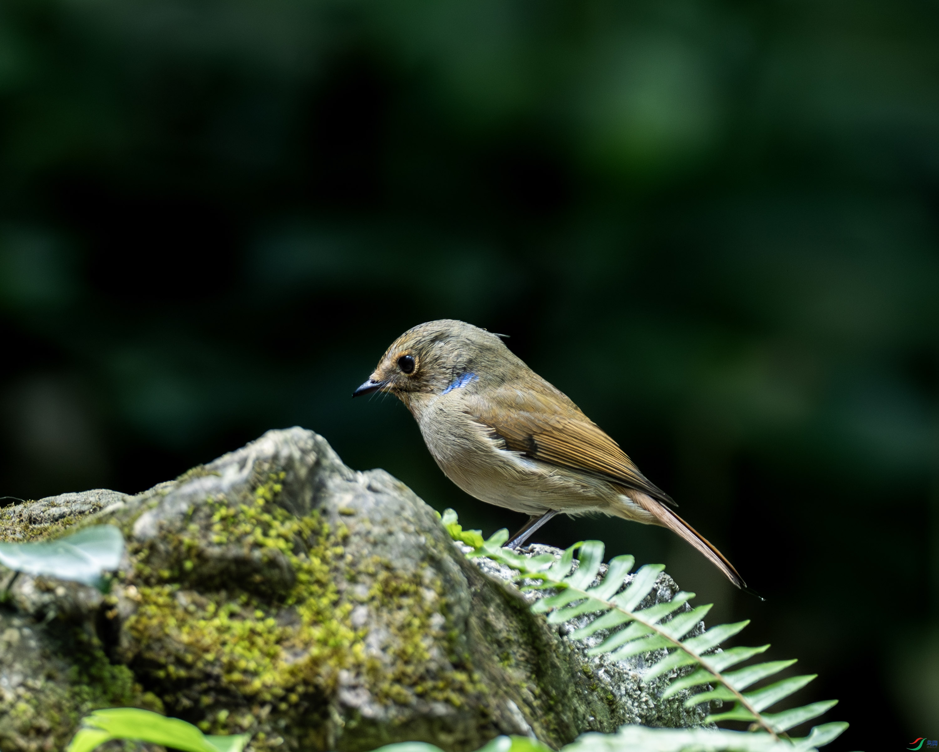 С���l-01-4.jpg